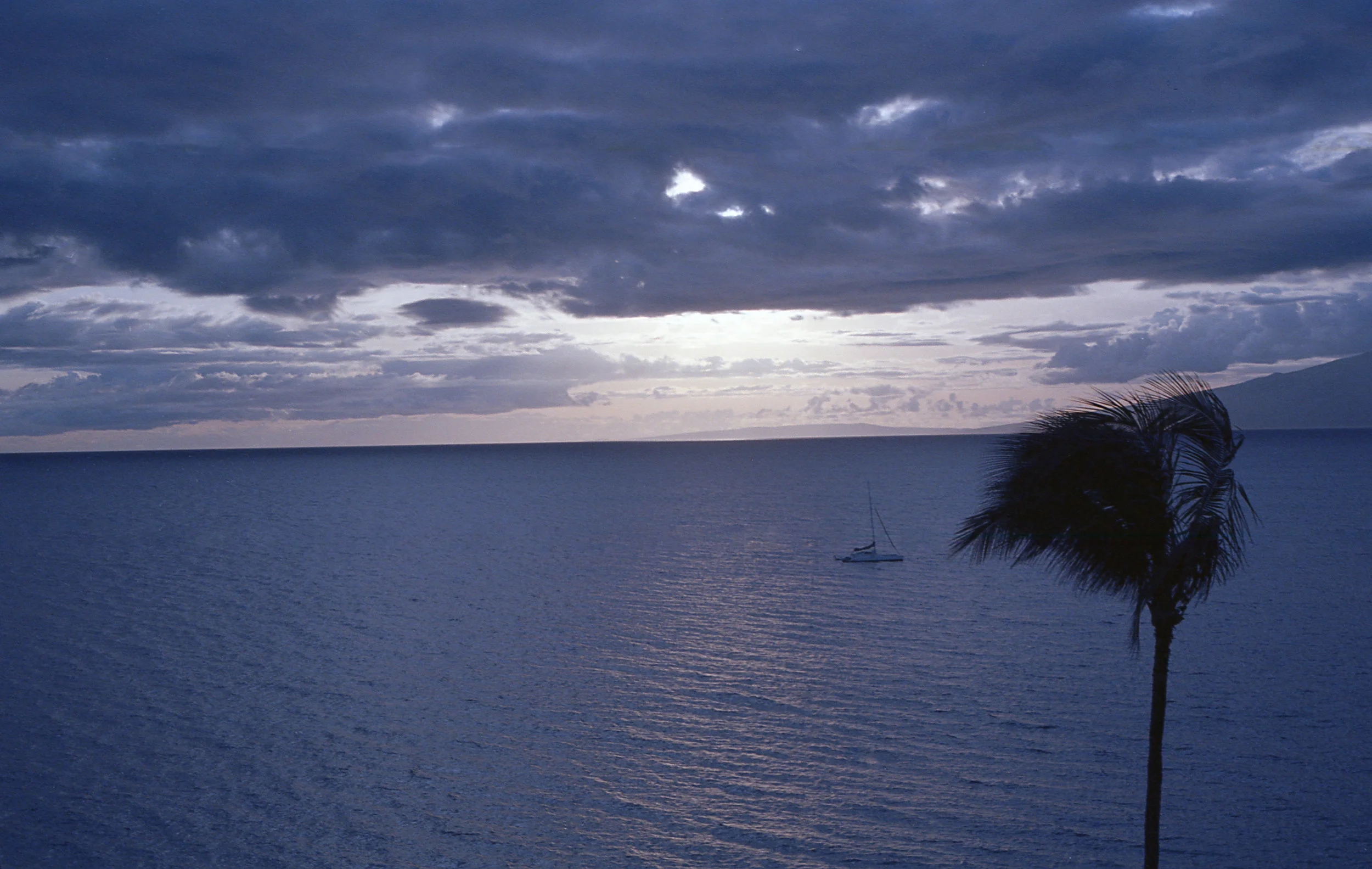 img678.jpg