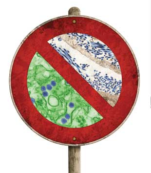 Enhancing vaccine development