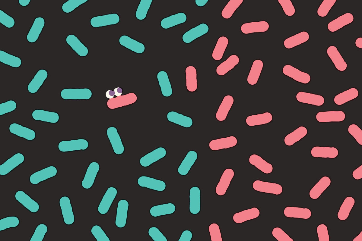 The social network in your gut