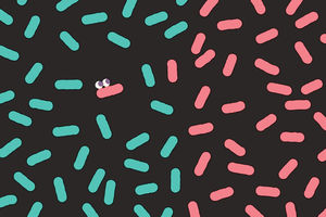 The social network in your gut