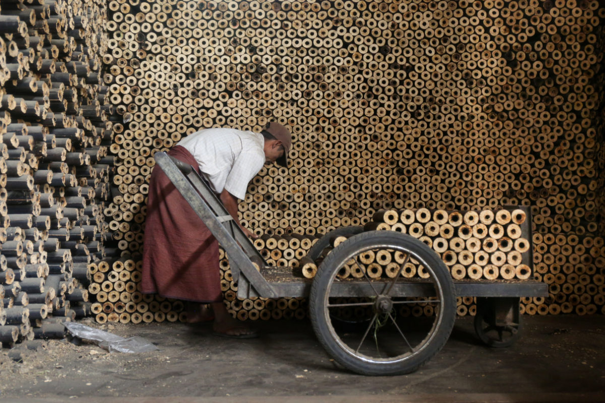 Can rice husk briquettes stem the tide of mangrove deforestation in Myanmar?