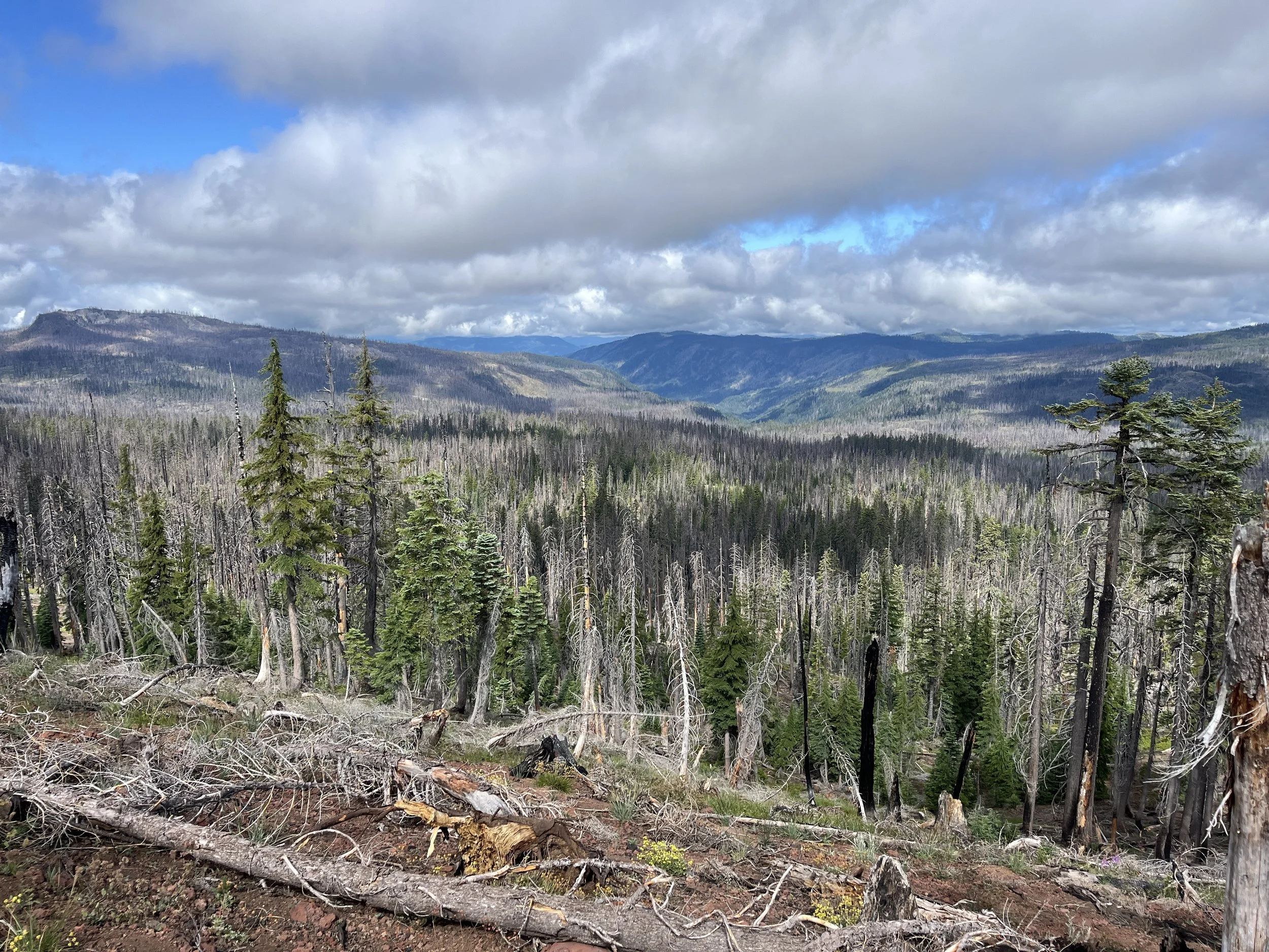 In defense of the burn zone 