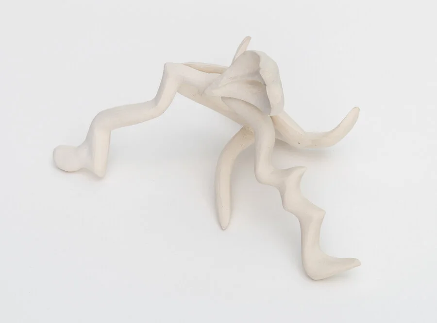Ghost Species 12, 2019, Carved clay, 9 x 11 inches