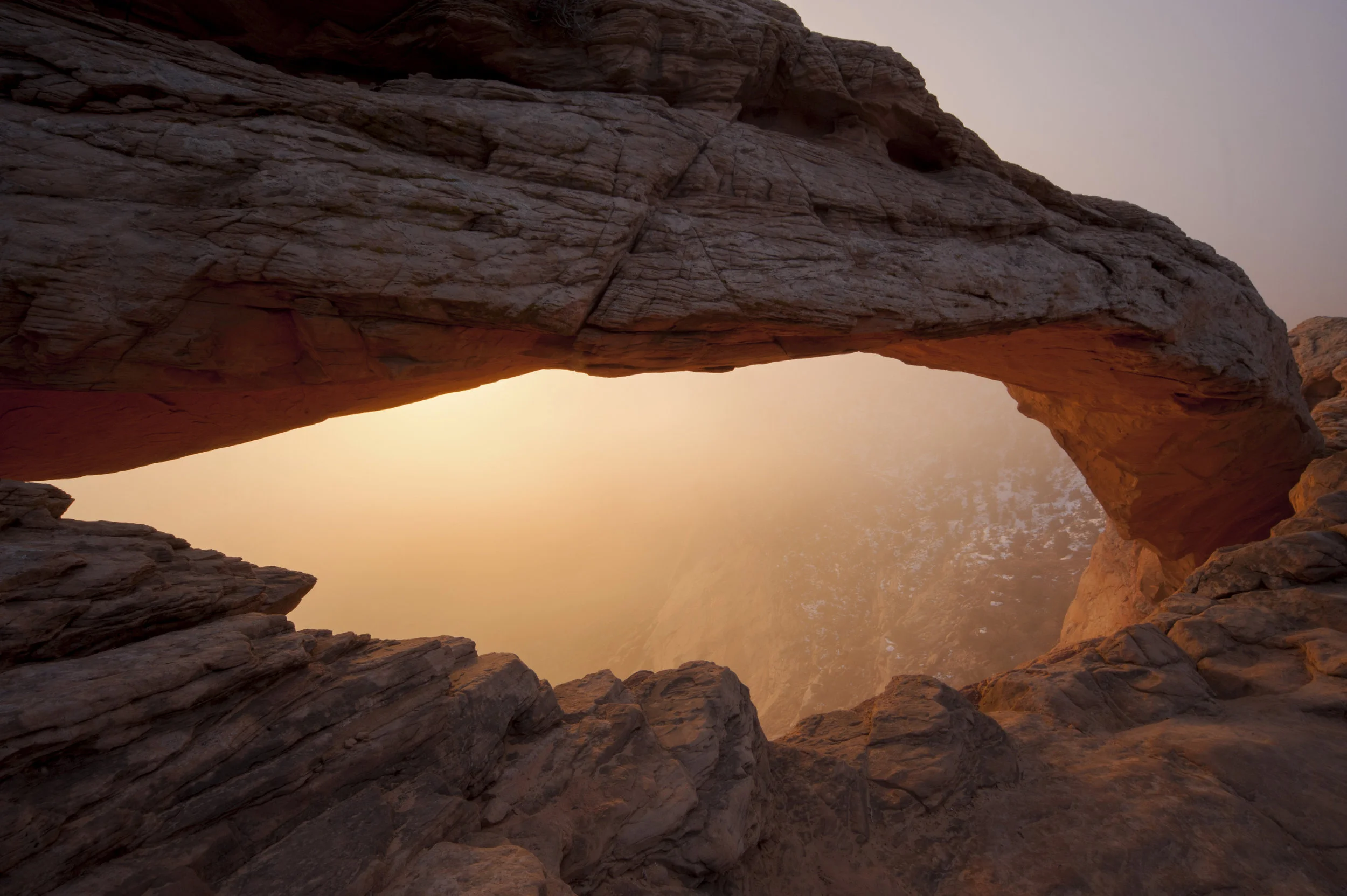 Header Image 2.jpg