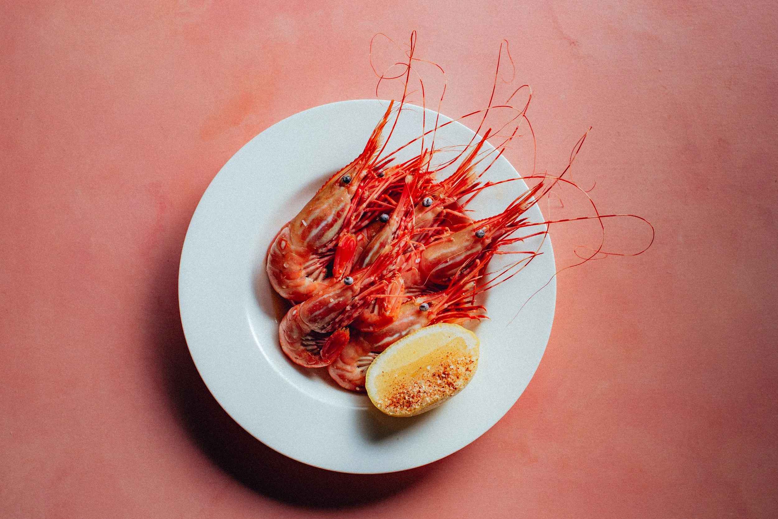 mister jius action-2646.jpg