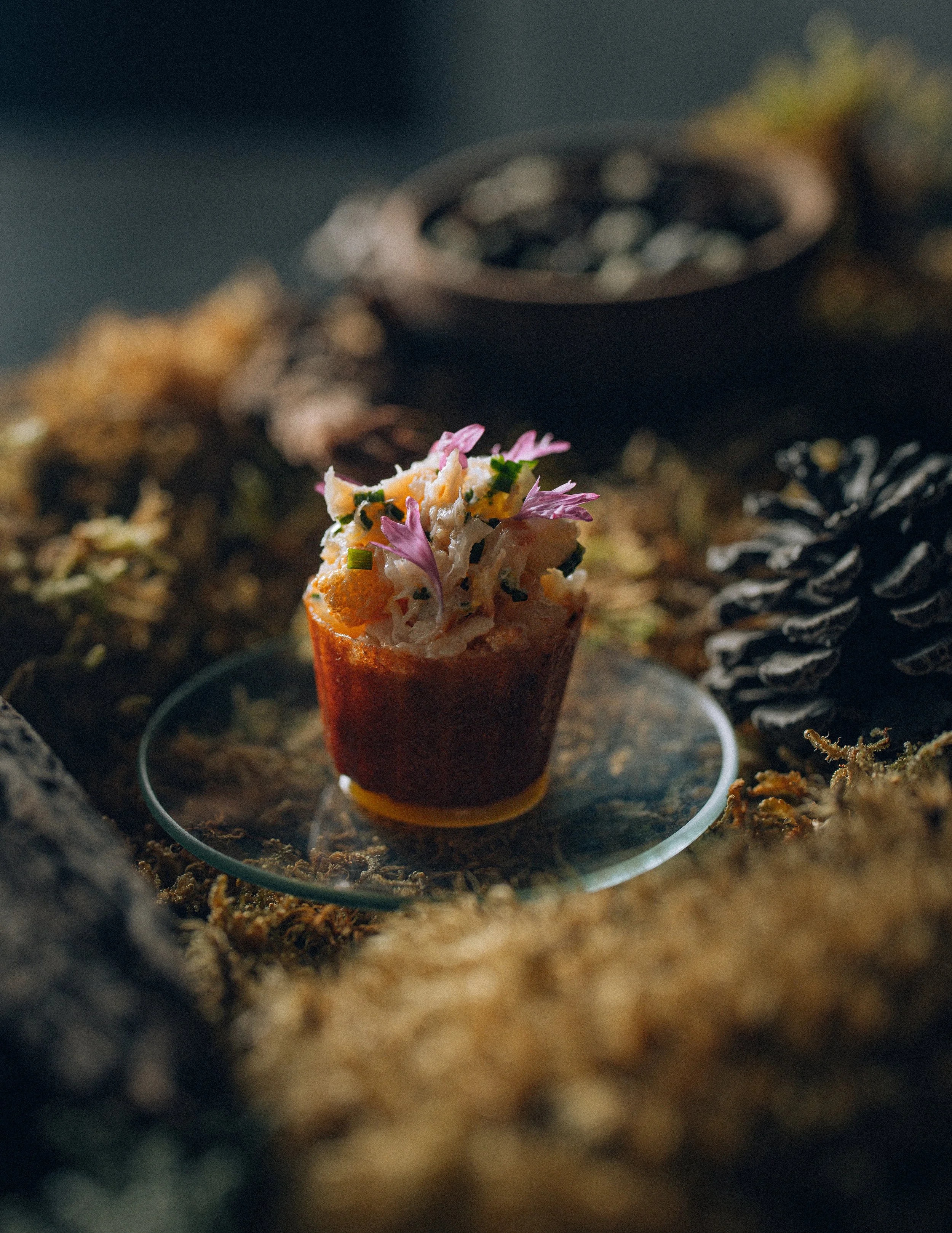 seline autumn 25-2940.jpg