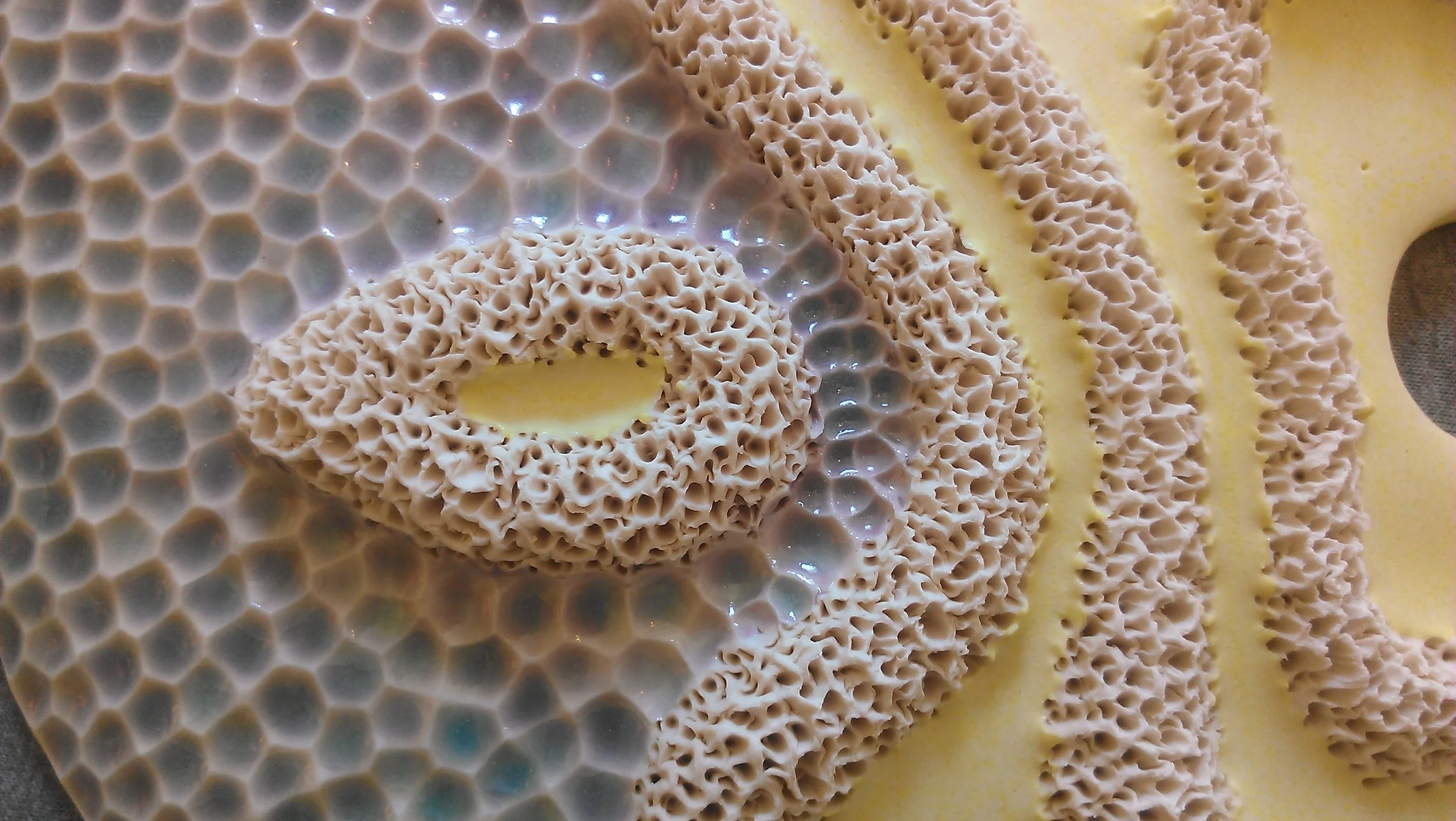 disk closeup.jpg