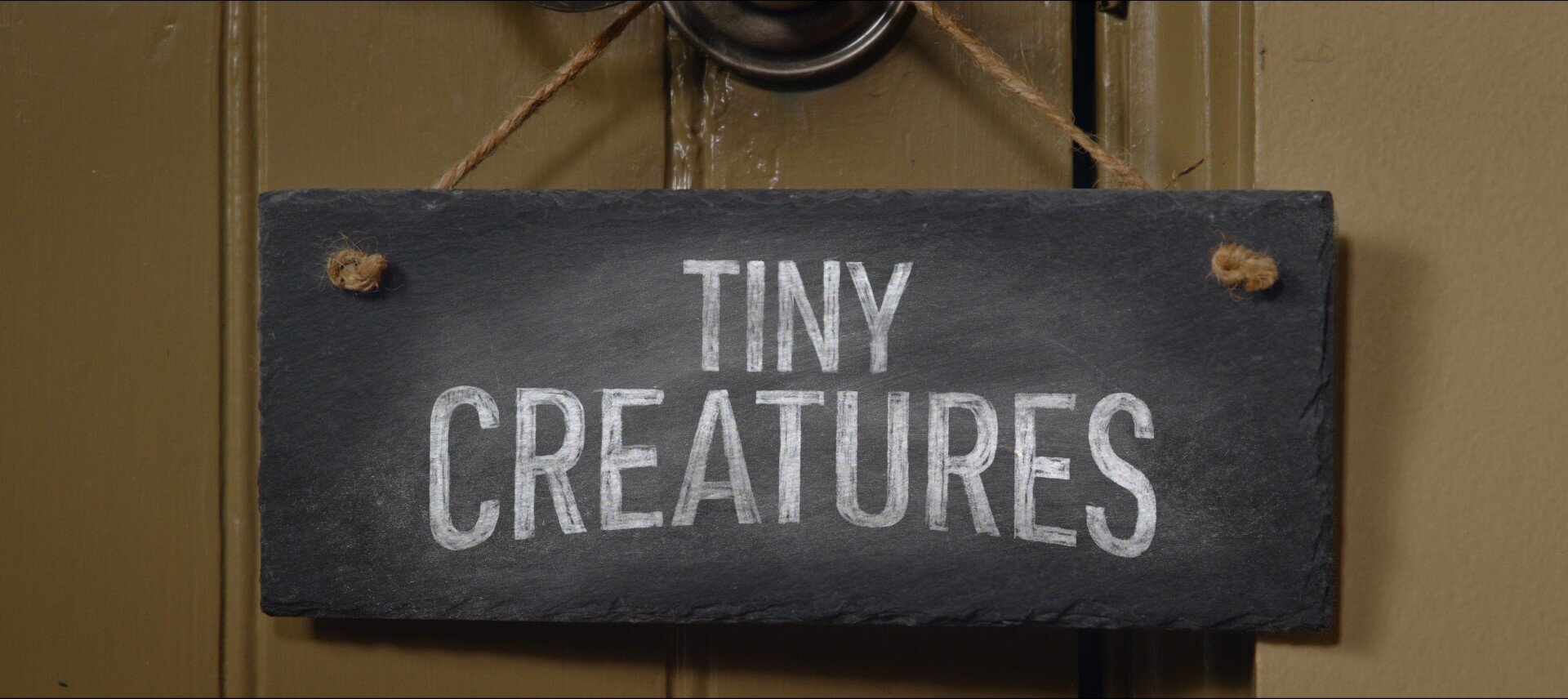 TinyCreatures_EP5_CLOSE+UP.jpg