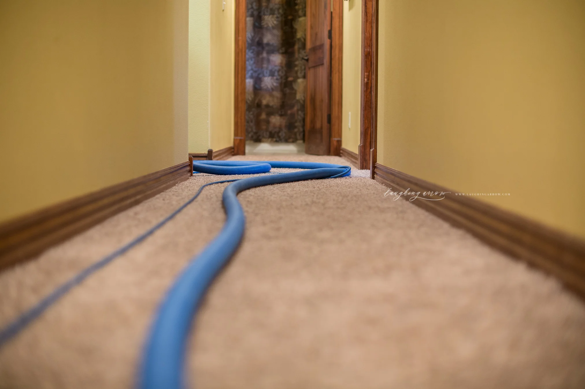 Pro Clean Carpet Upholstery