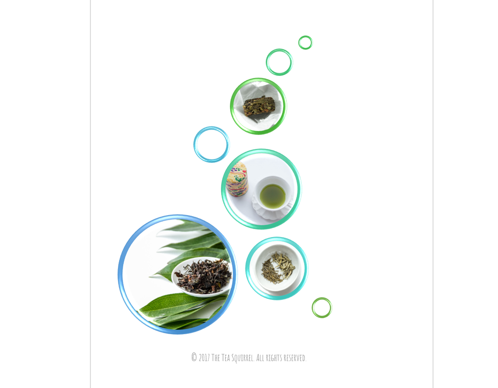 Anatomy Of The Ideal Loose Leaf Tea Storage The Tea Squirrel