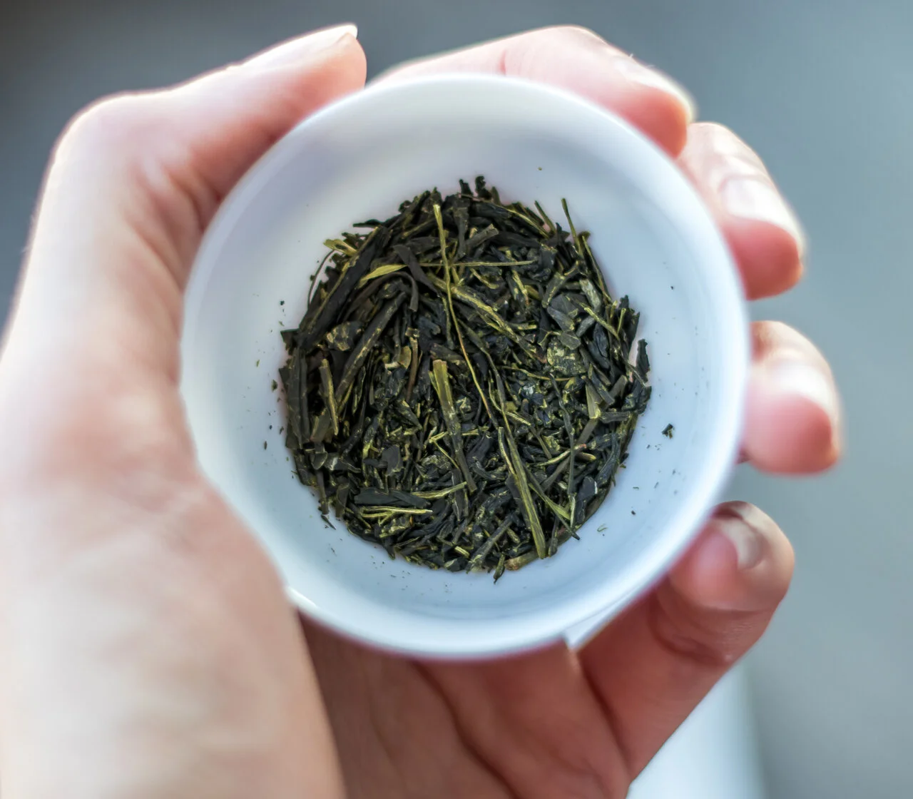 Japanese green tea. Comparing machiko and fukumidori cultivars. Fukumidori tea leaves.