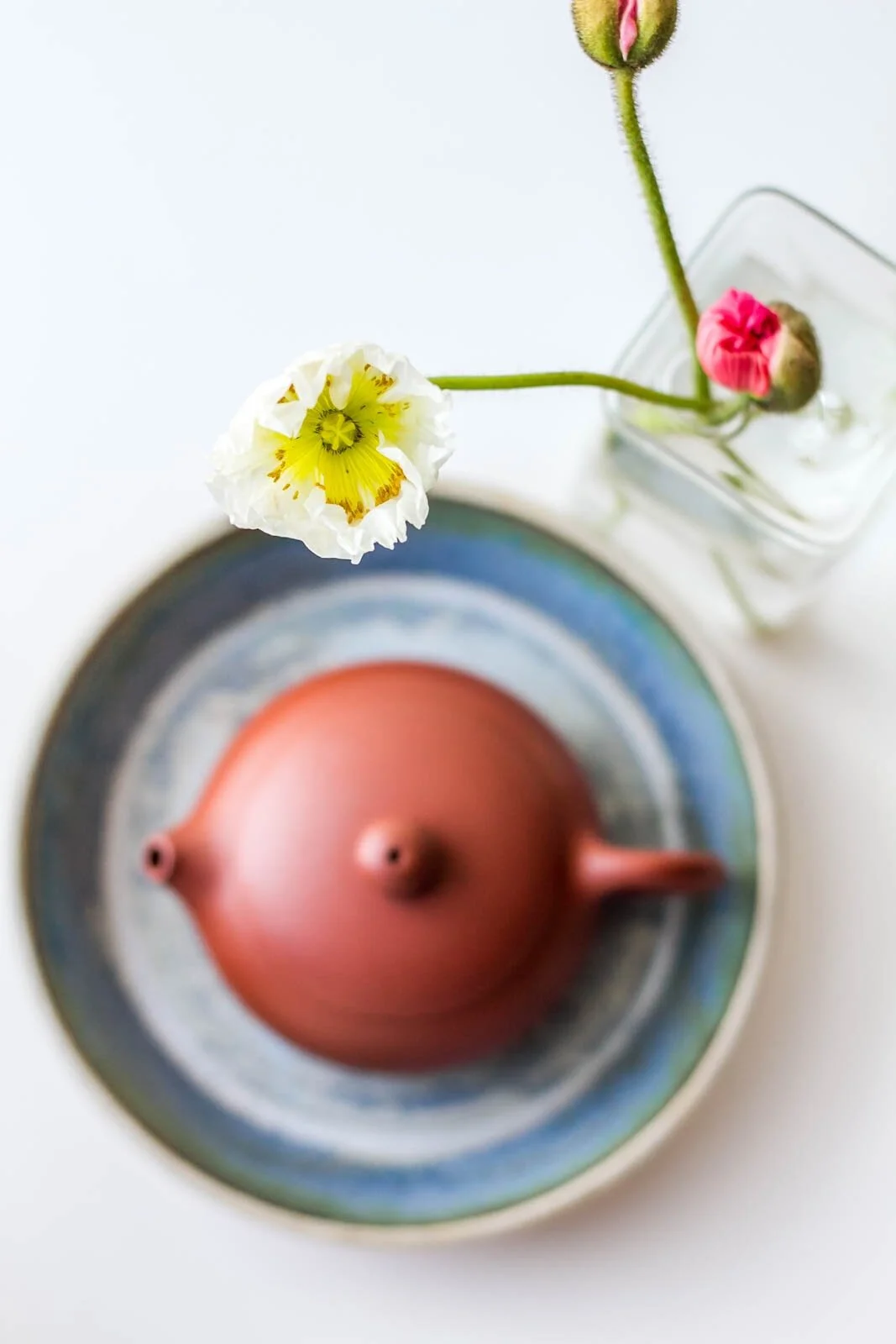 Do you wash your teaware? — The Tea Squirrel