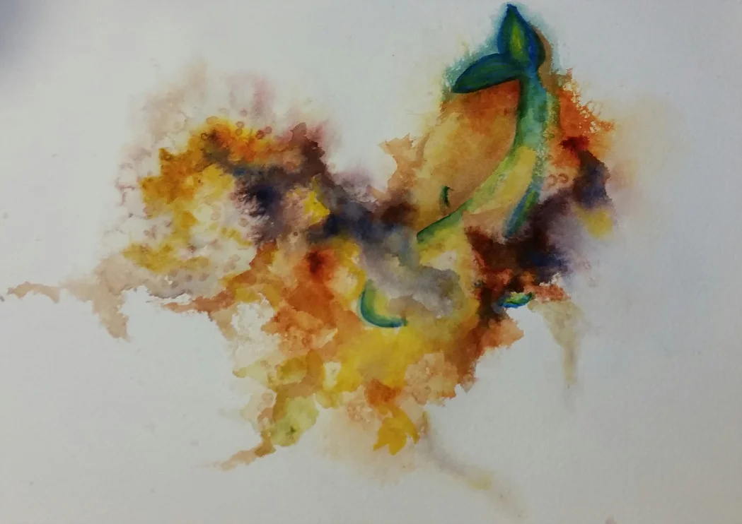 Koi