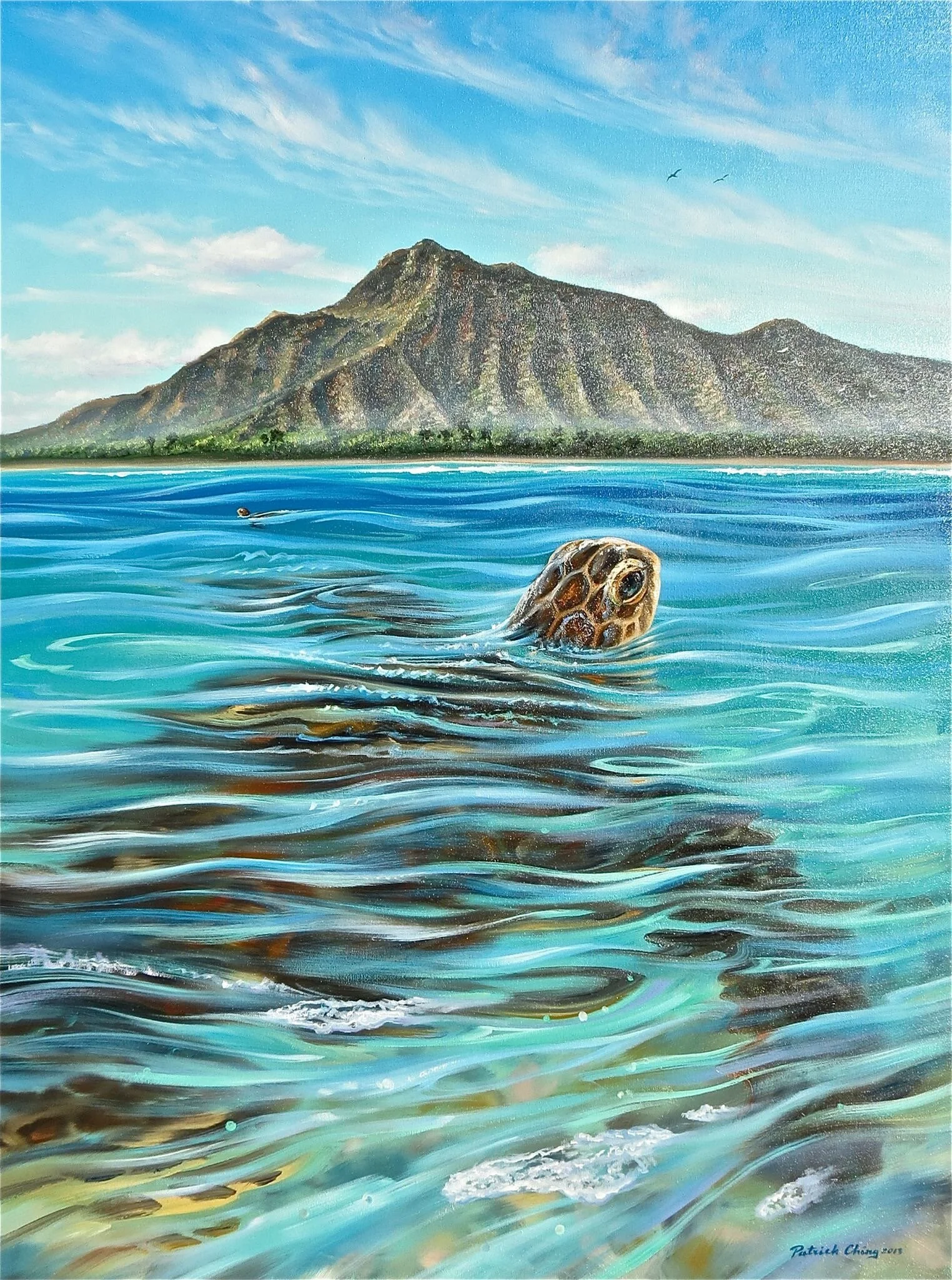 Diamondhead Honu.JPG