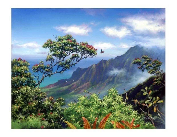 Patrick Ching Kalalu Lookout.JPG