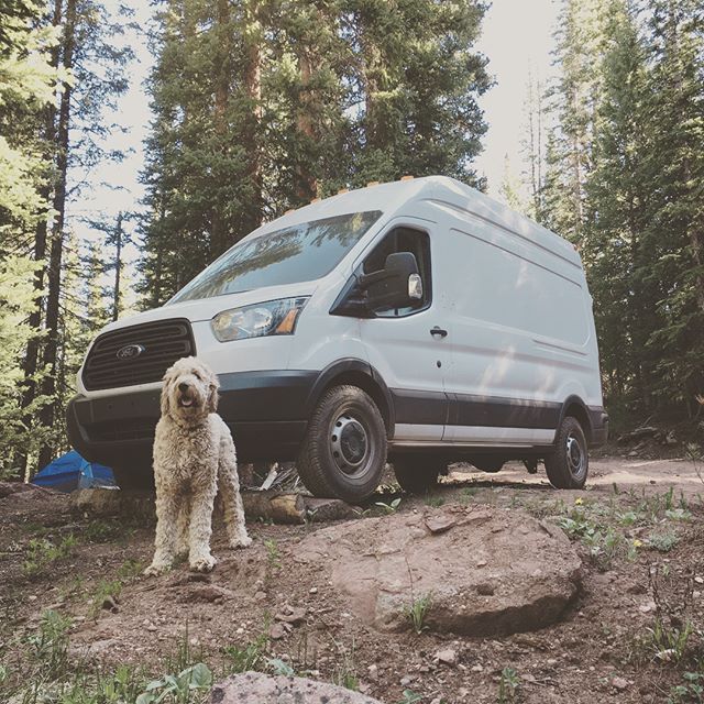 Ollie&rsquo;s first camping trip. Who&rsquo;s ready to do some exploring this summer?