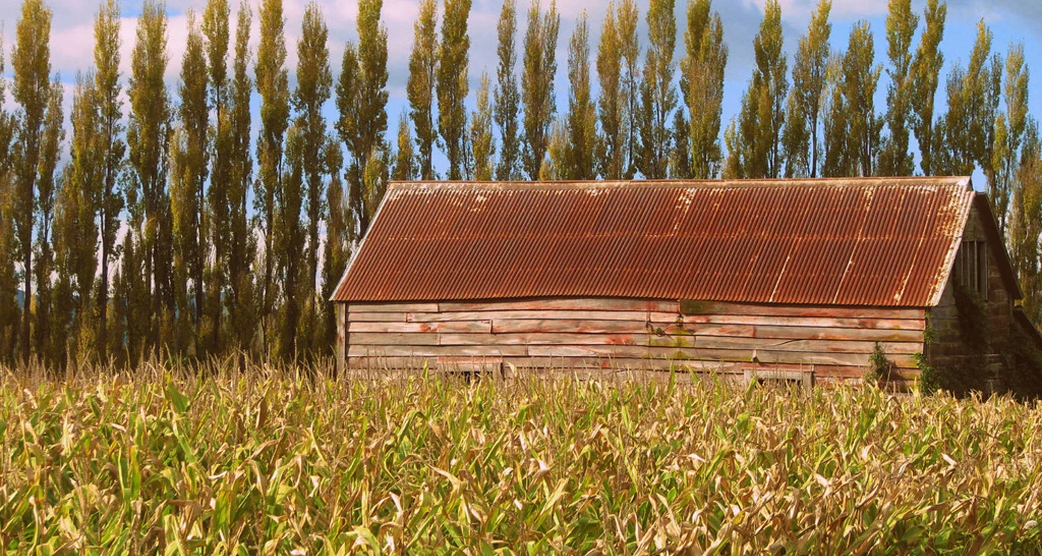 pic1.jpg