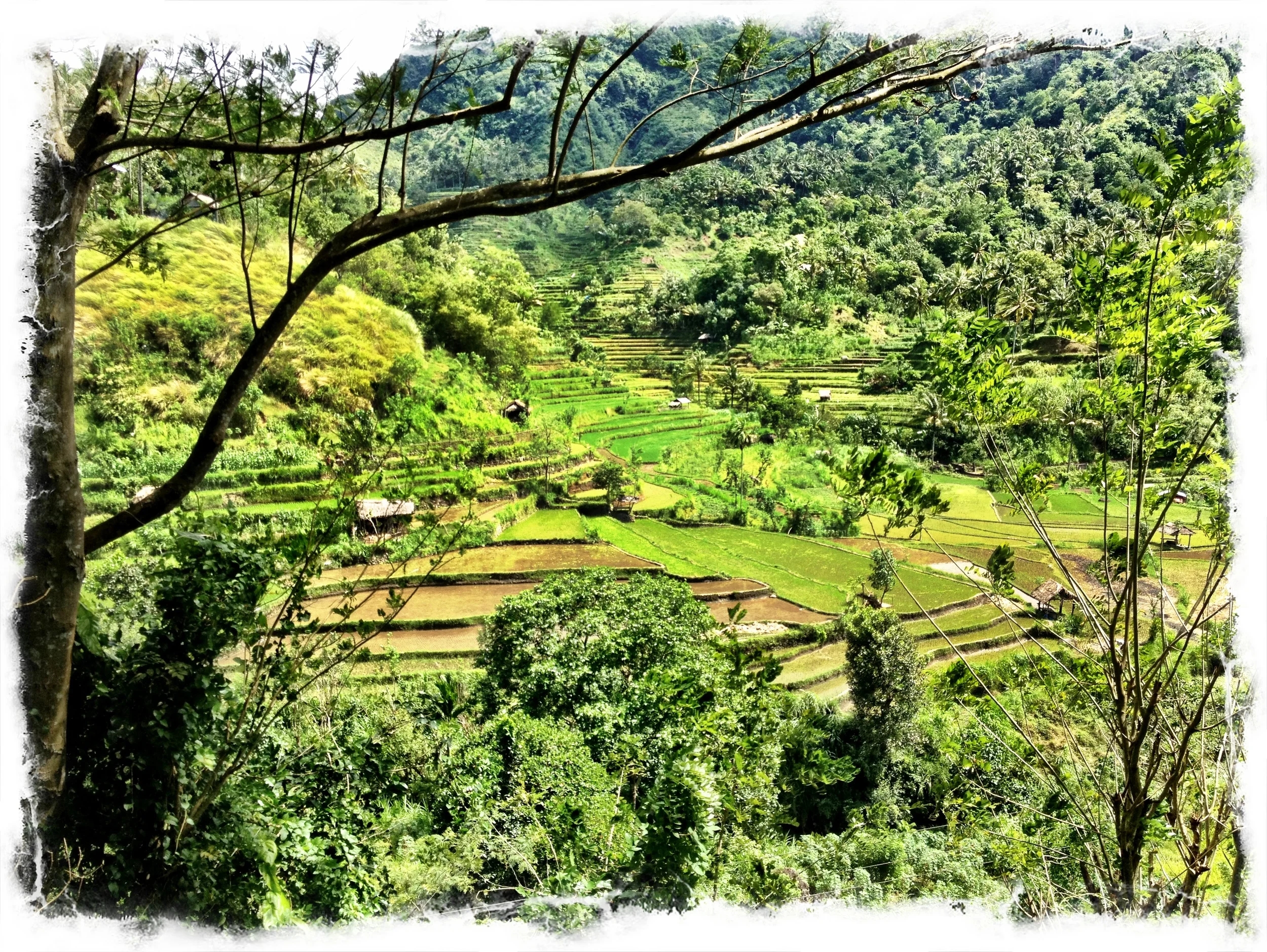 2013-05-21 001 003.JPG