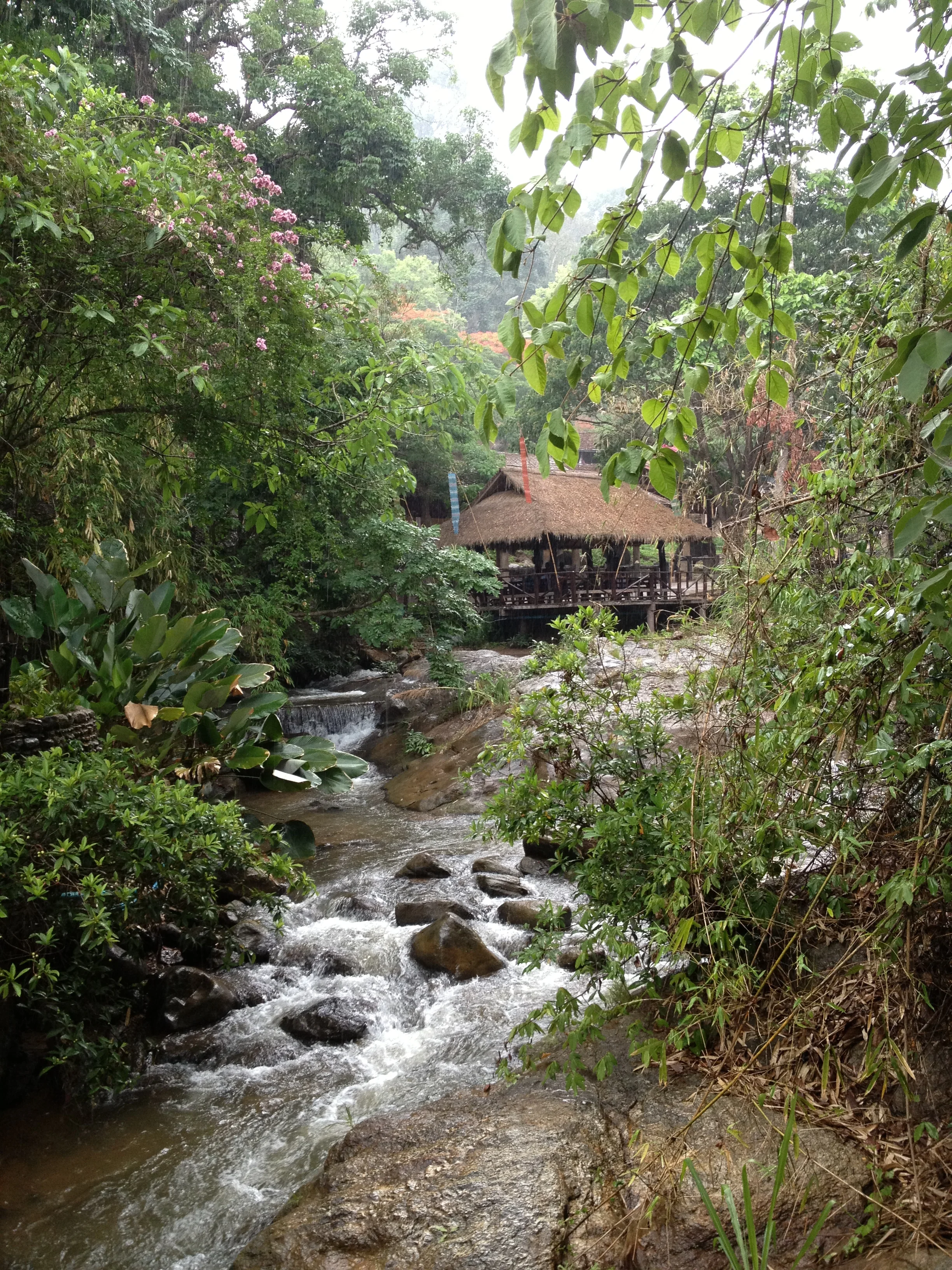 2013-05-09 001 001.JPG