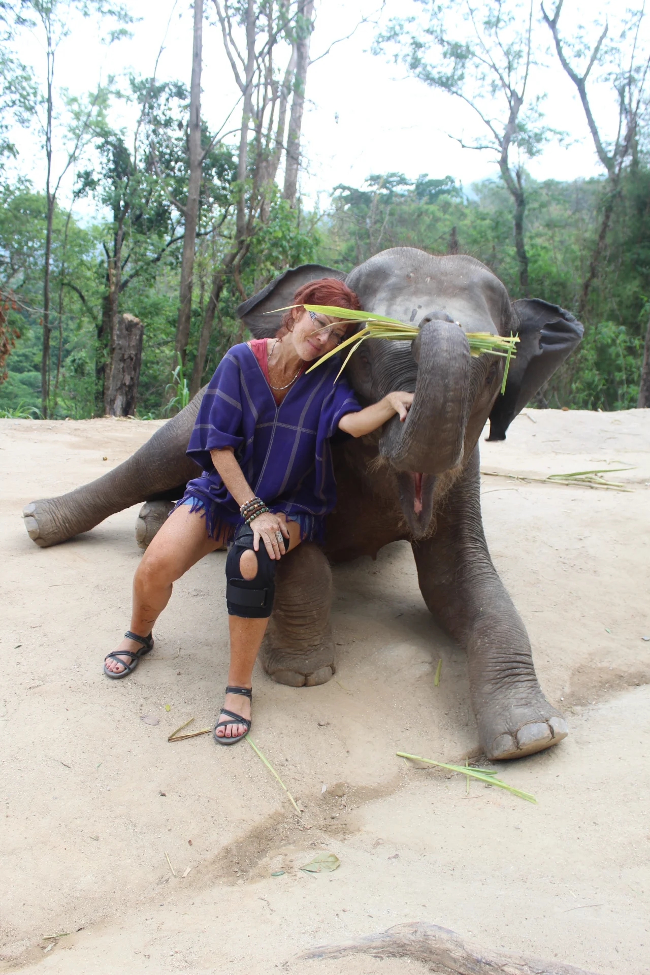 #PATARA ELEPHANT FARM#