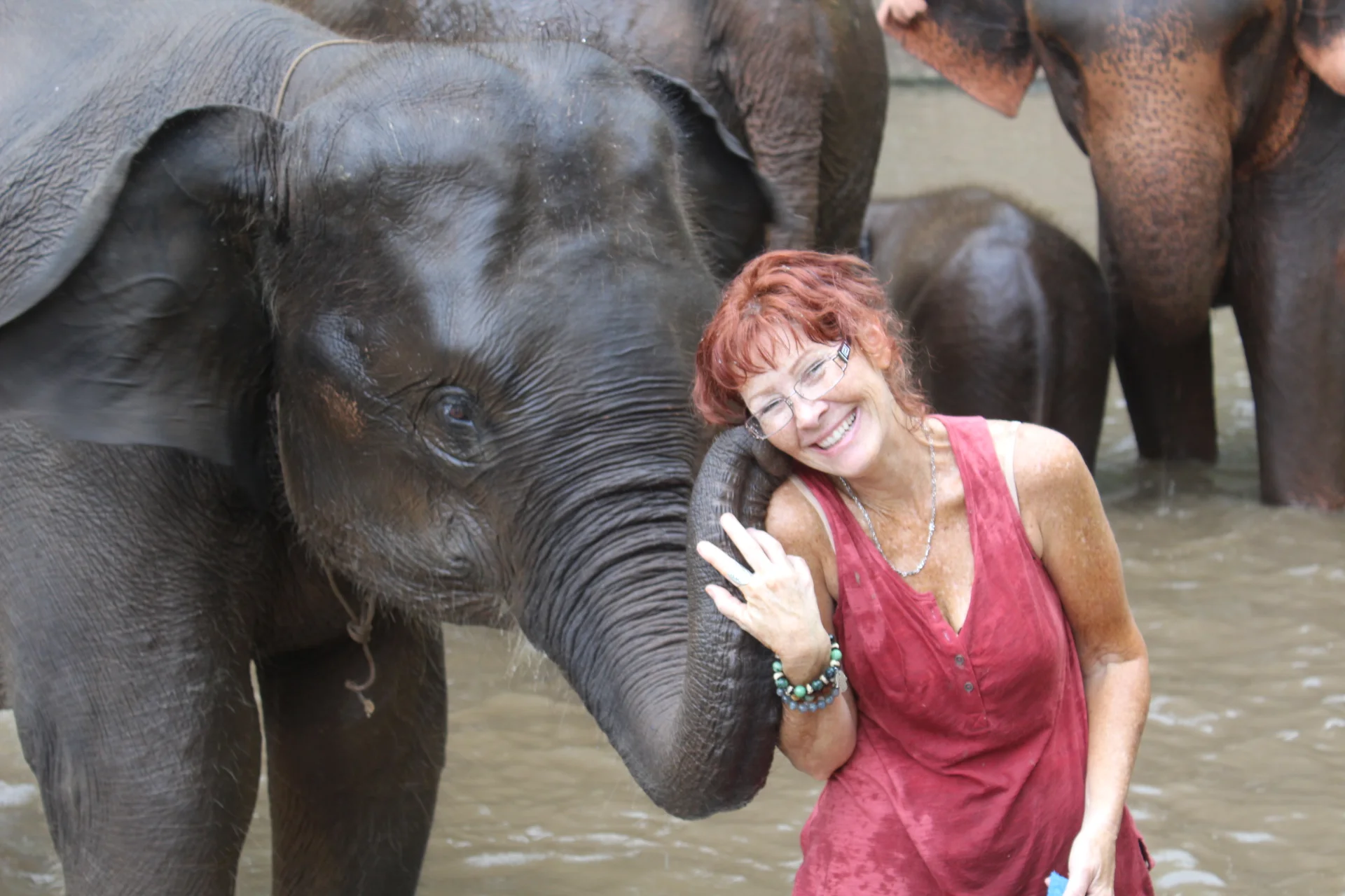 ELEPHANT LOVE