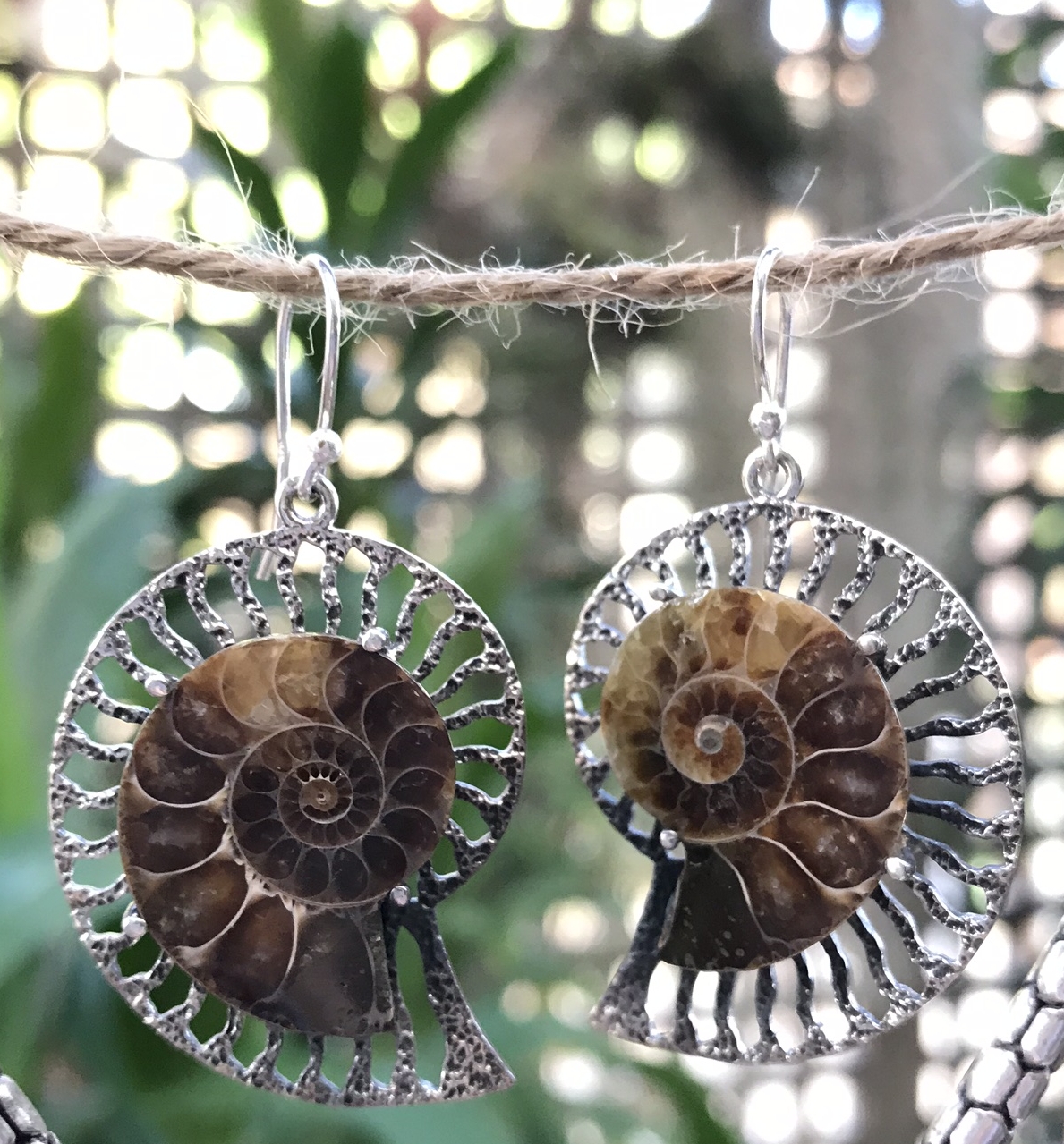 Ammonite Fossil earrings, sterling silver