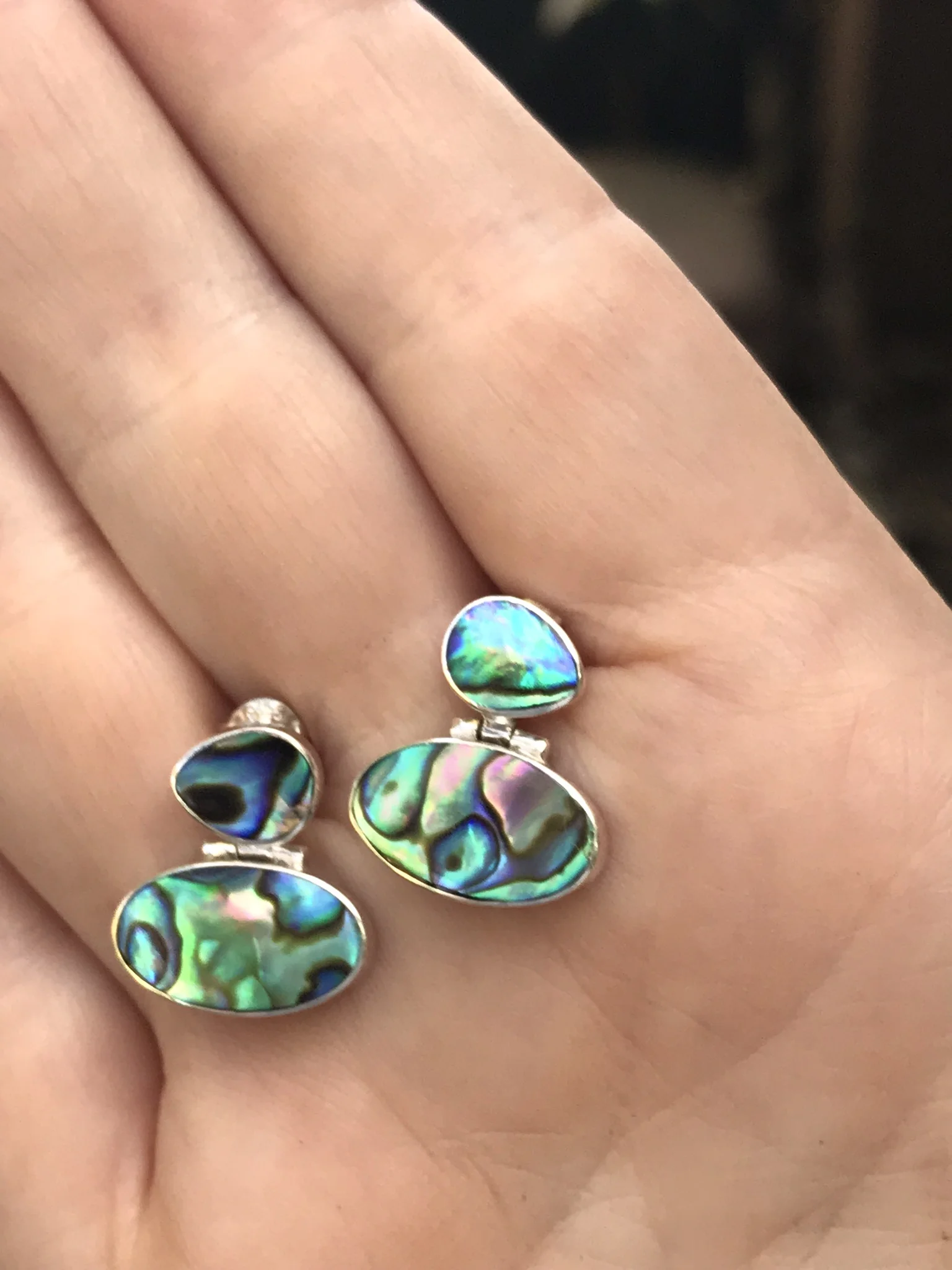 abalone #1 earrings.jpeg