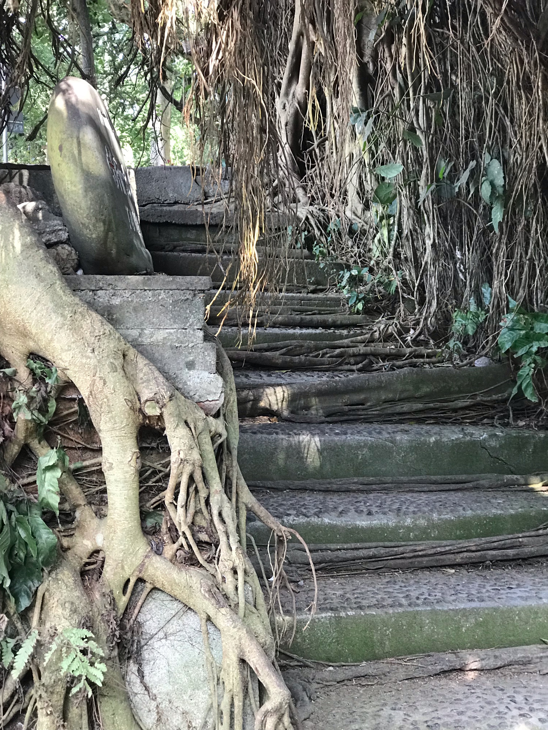 Streets to monkey forest Ubud Bali