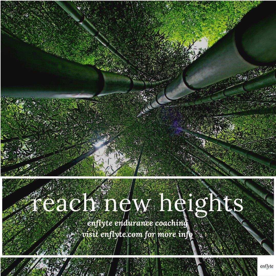 Reach new heights.  What does that even mean?

I'll help you redefine the bar with your values at the core.

Contact me for details on run/tri coaching, specialized yoga/mindfulness programming, and intention setting sessions. 

#enflyte #perform #be