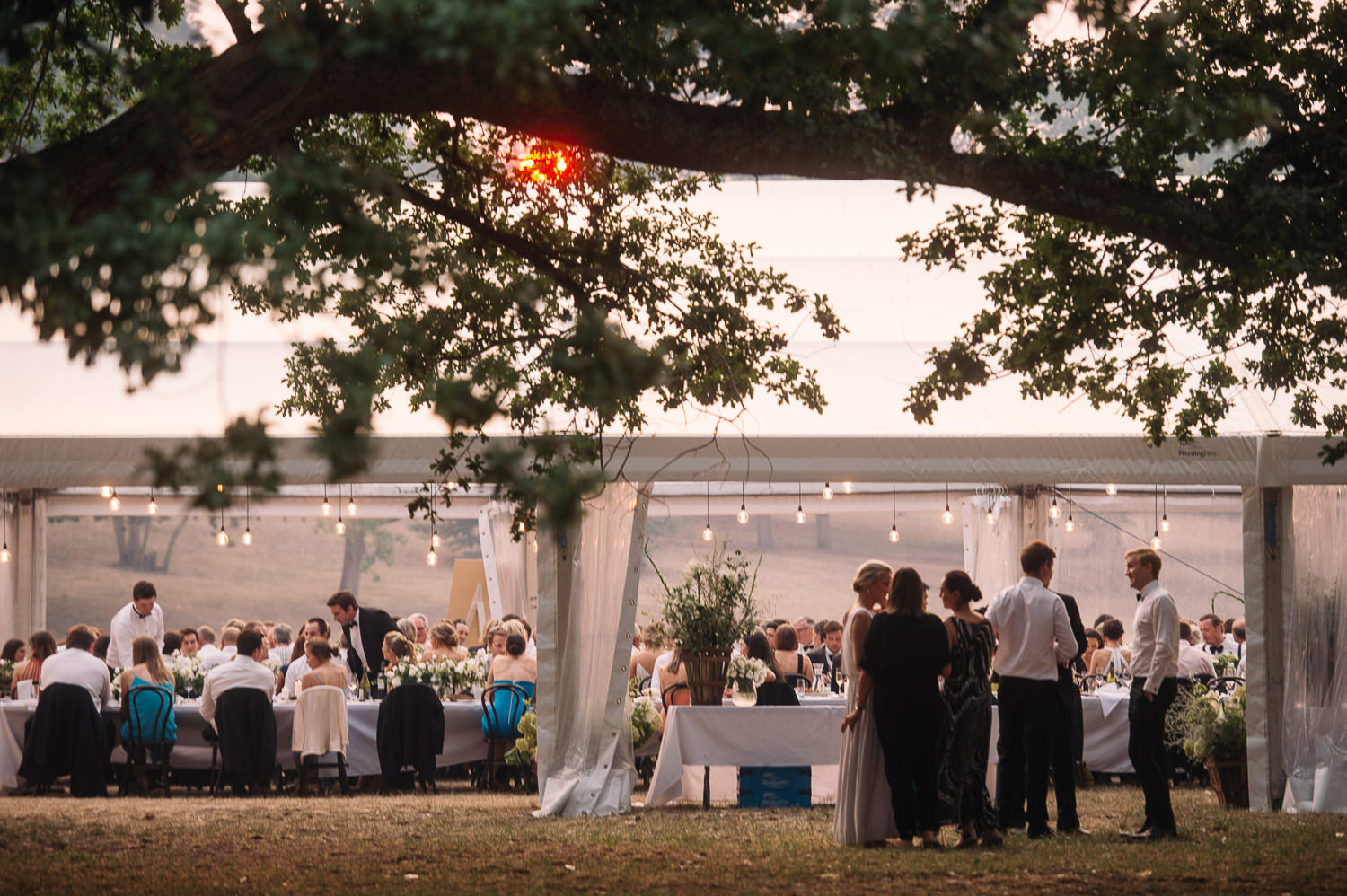 Wedding_ Marquee_Entally_Estate