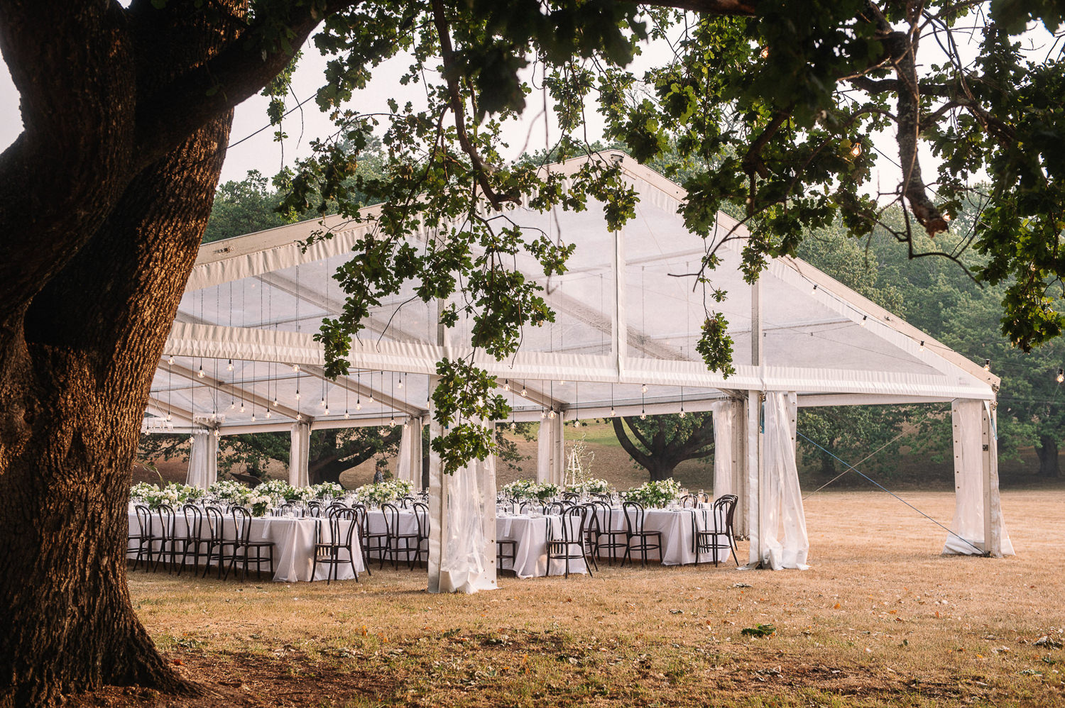 Wedding_ Marquee_Entally_Estate