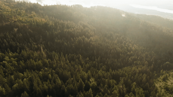 ezgif.com-gif-maker-3.gif