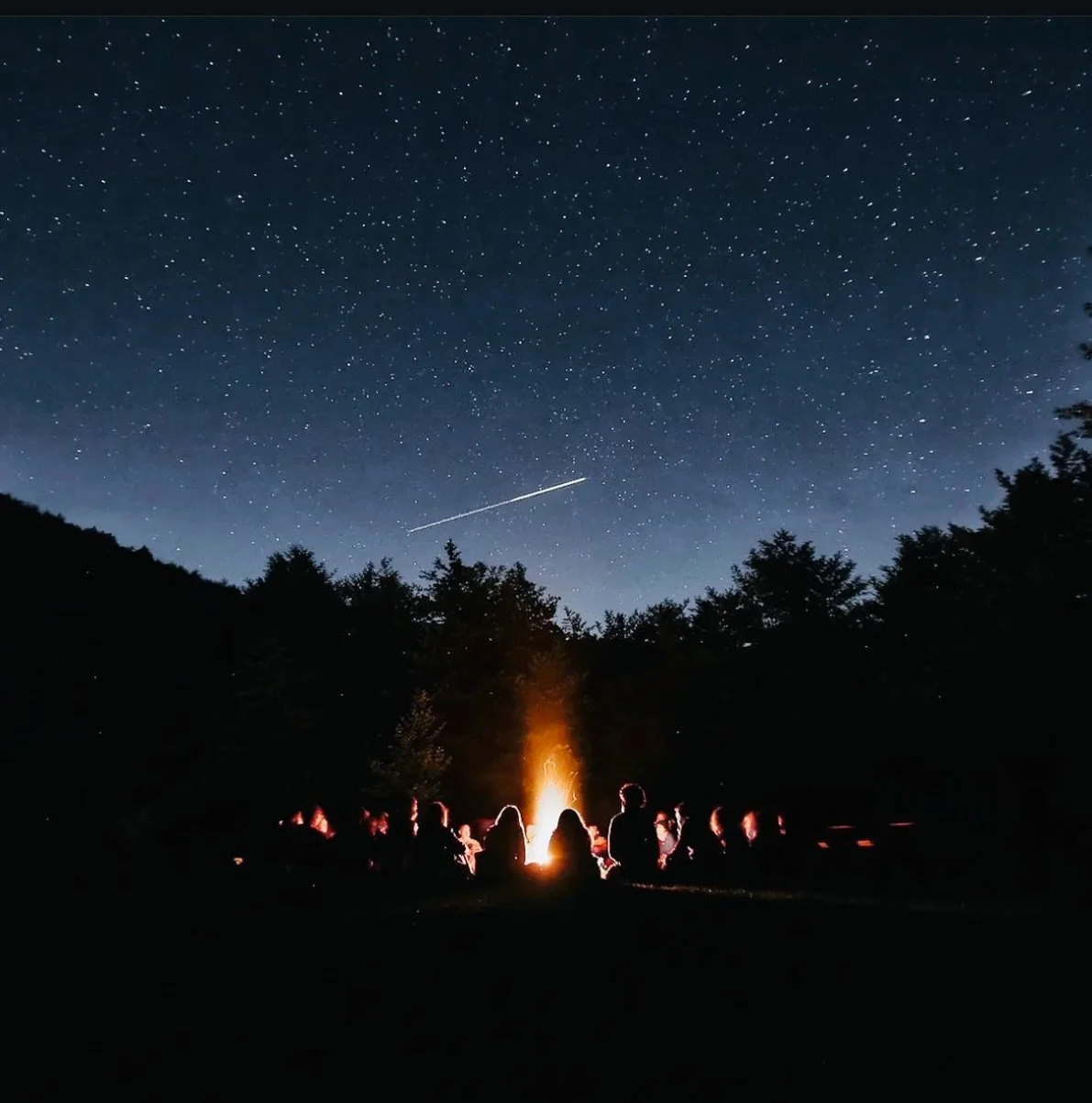 Happy New Year from our campfire to yours.