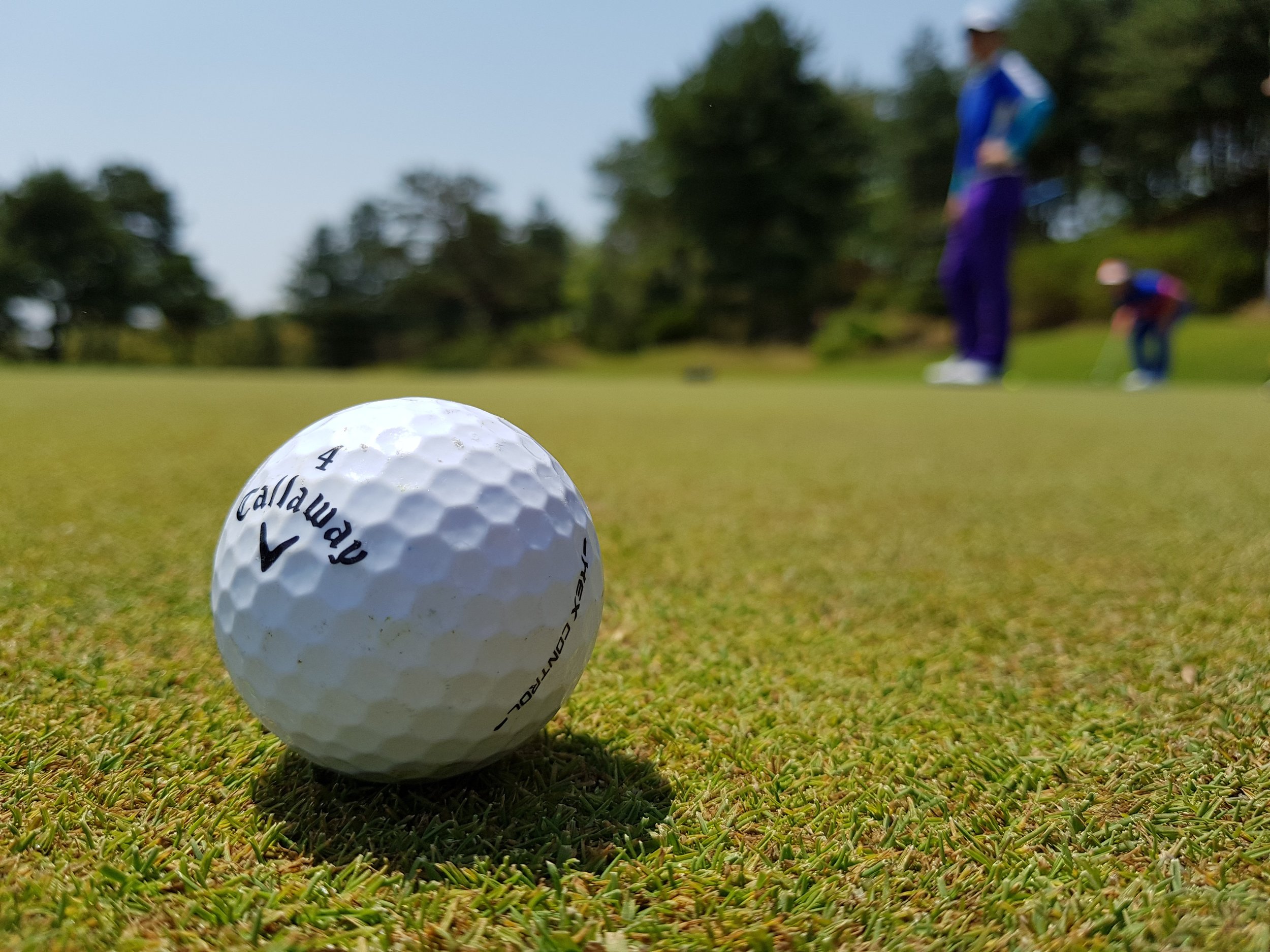 golf-3216250.jpg