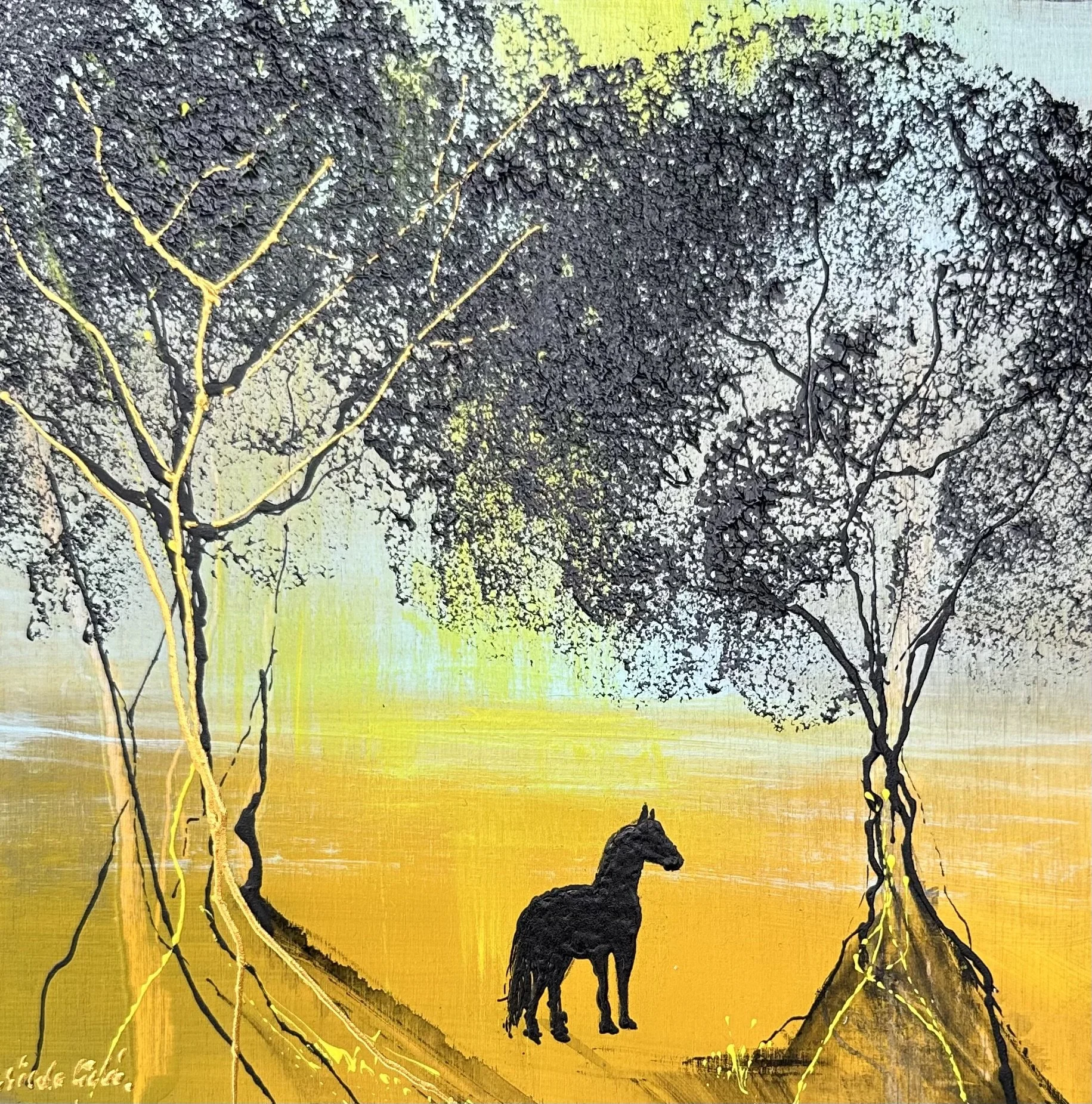 Brumby 1