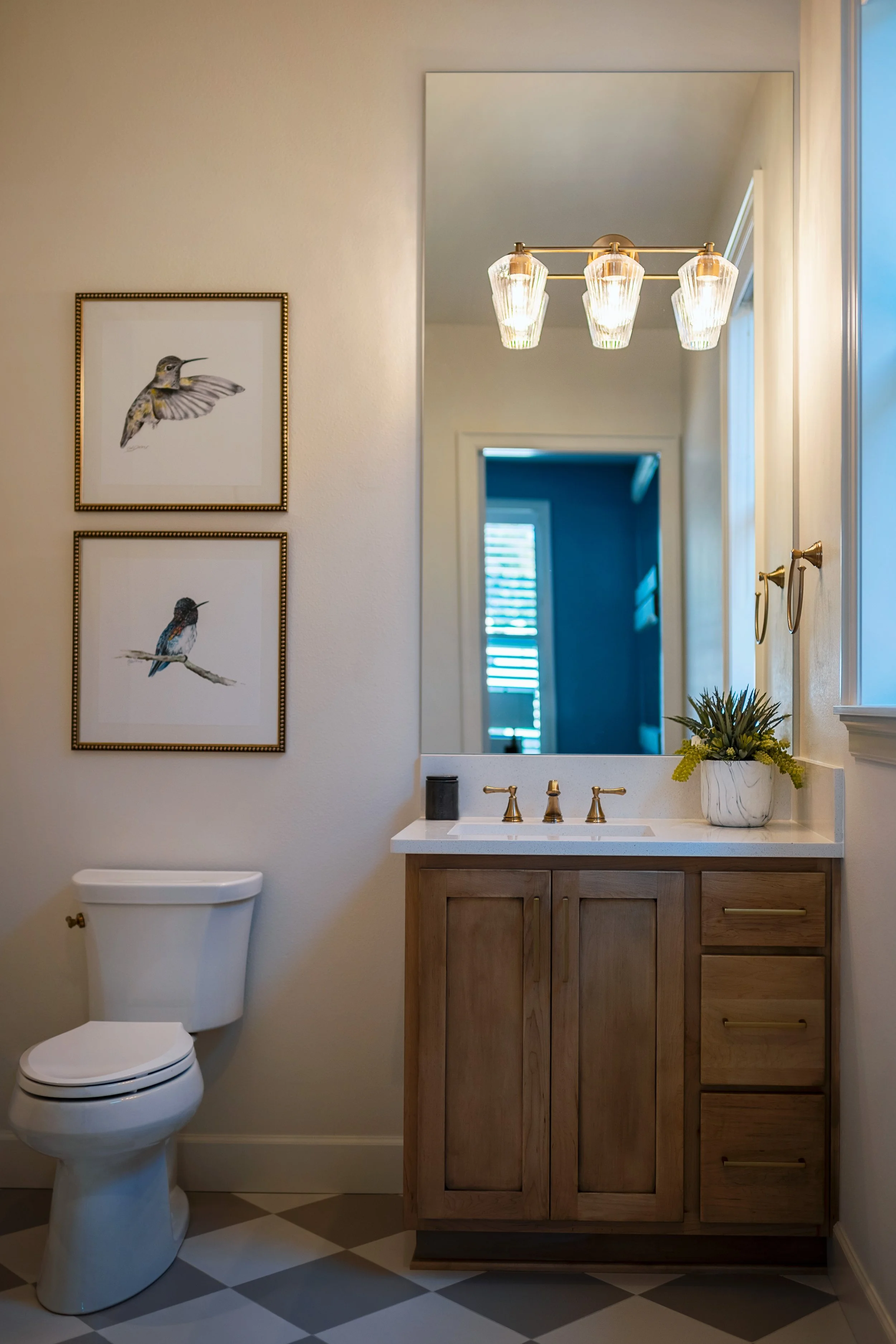 A bathroom with a toilet, a wooden vanity with a white countertop, a mirror, a three-light ceiling fixture, and framed bird illustrations on the wall.