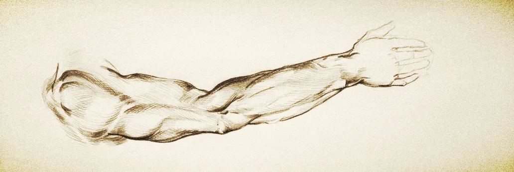 arm.jpg