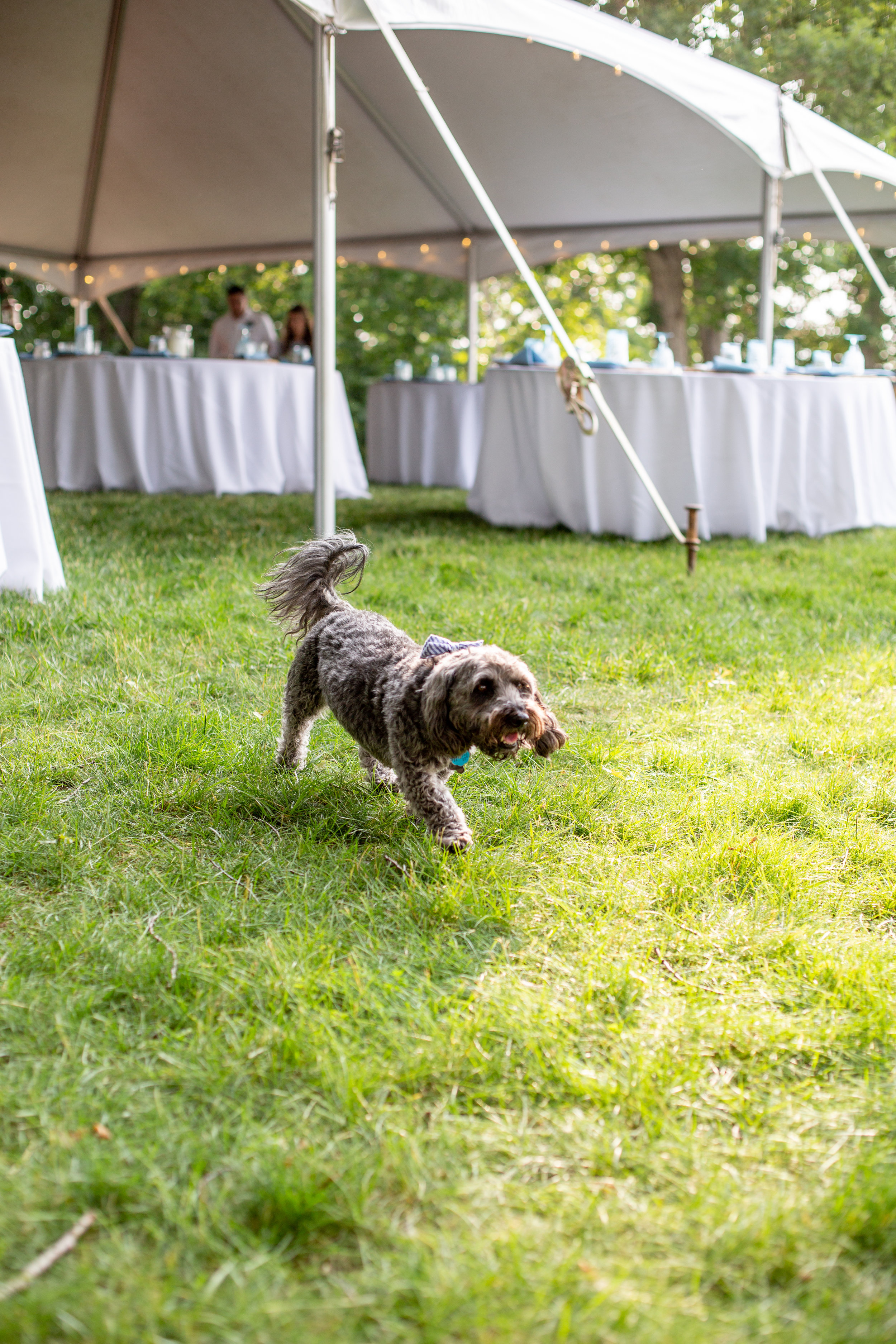 Crystal Belcher Photography_ virginia wedding photographer_ ceremony (22 of 111).jpg