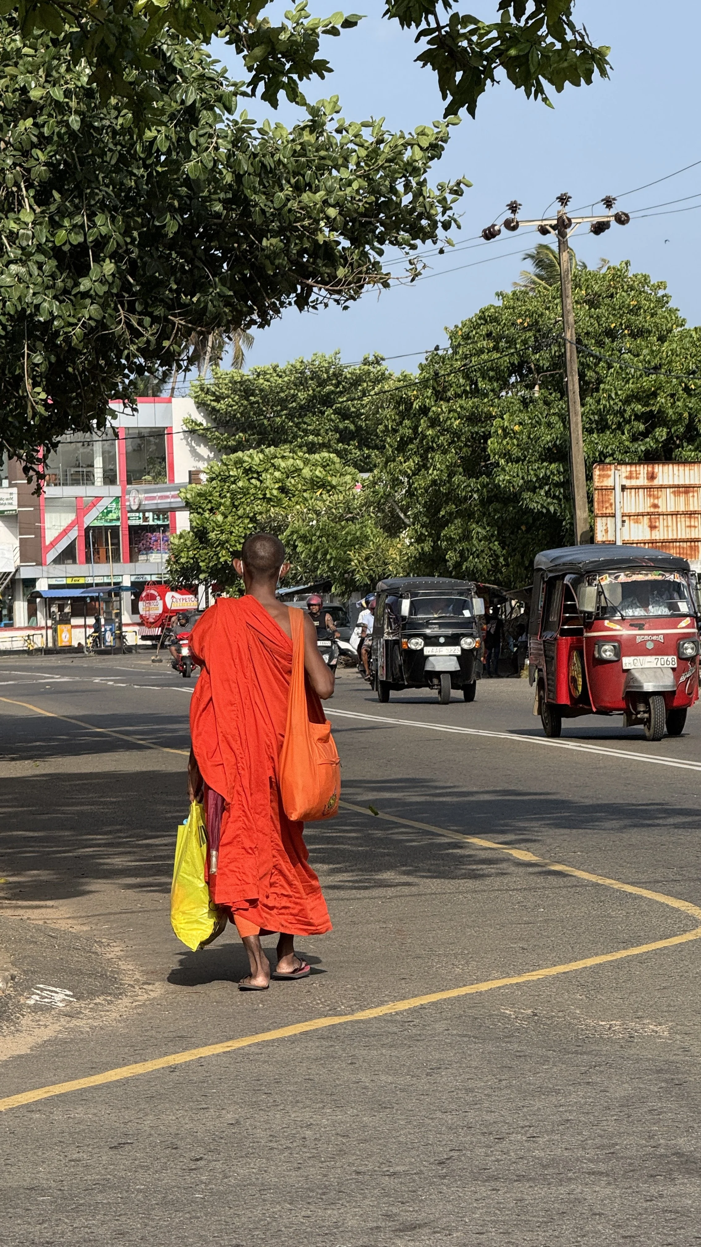 Sri Lanka Temple8506.jpg