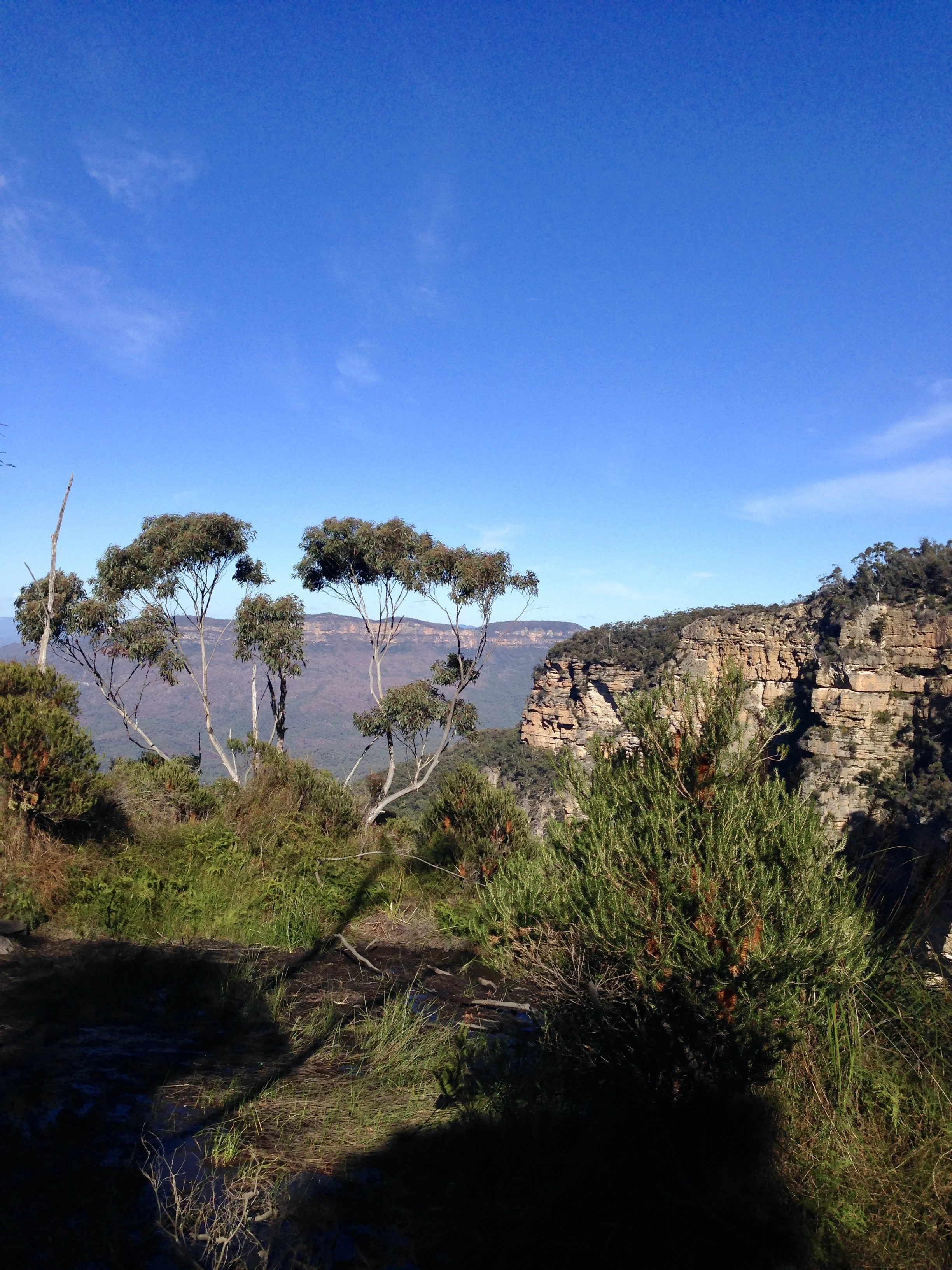 Blue Mountains Nature Journal