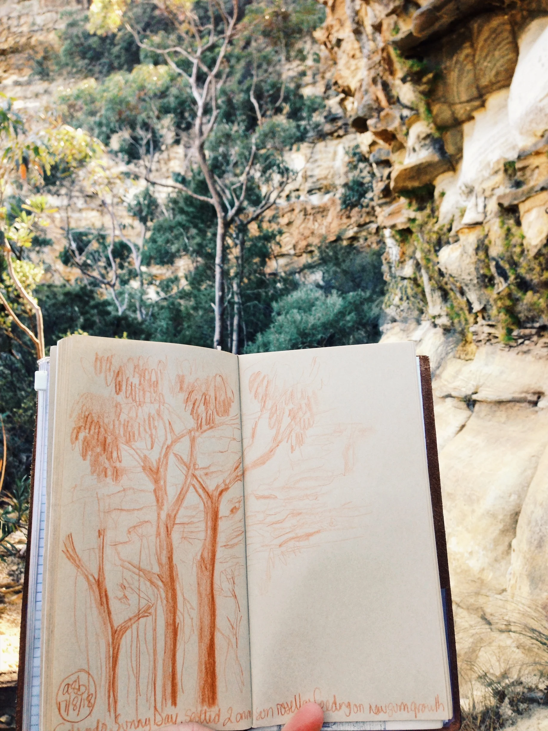 Blue Mountains Nature Journal