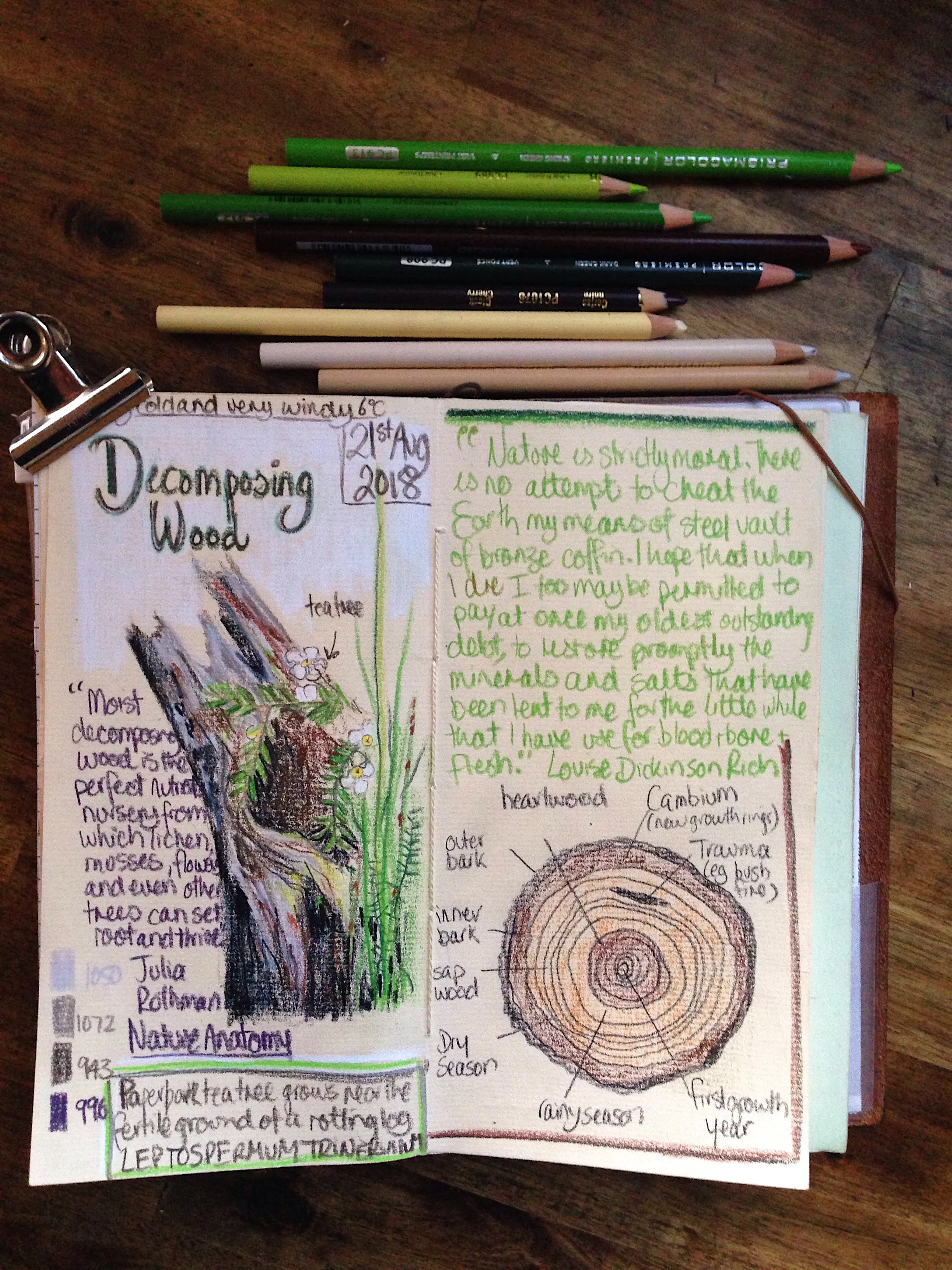 Blue Mountains Nature Journal