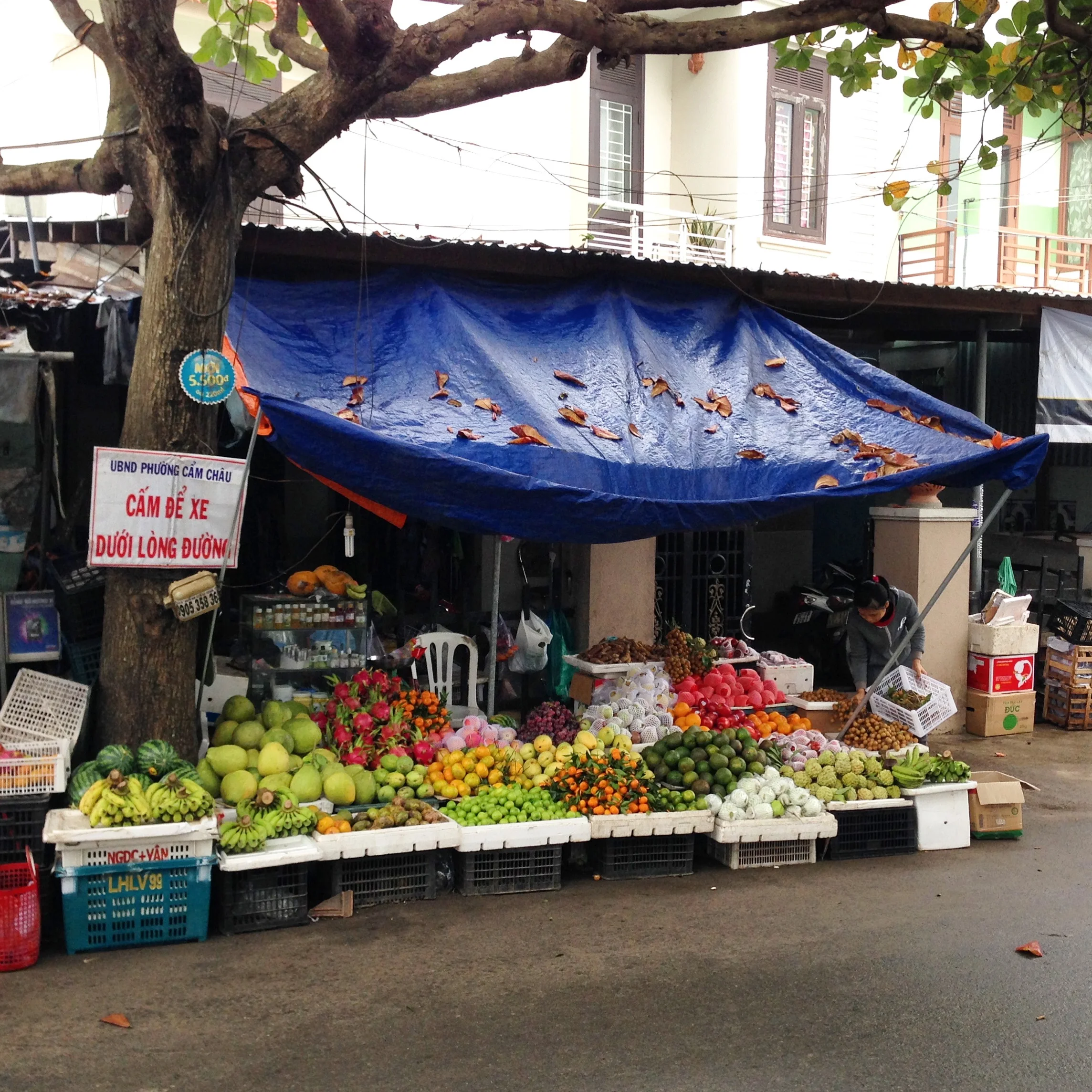 Fresh fruit is abundant in Vietnam. Generally the people eat very well, with little processed and packaged food in their diet. Sugar is added to many dishes, but cake and desserts are rarely eaten, so things balance out that way.