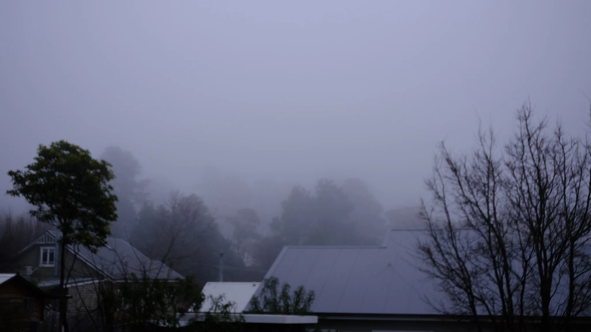 Five Minutes in the Backyard