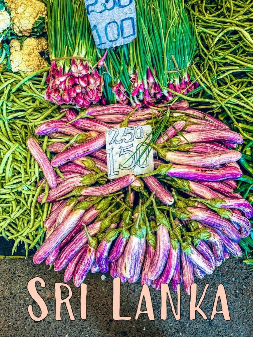 This July 2026 I am hosting my annual Anna&rsquo;s Silk &amp; Spice Creative Journey Sri Lanka. One luxury beach front Villa, 10 glorious days of deep cultural immersion, food anthropology, creative connections, elephants, turtles, lotuses, clay pots