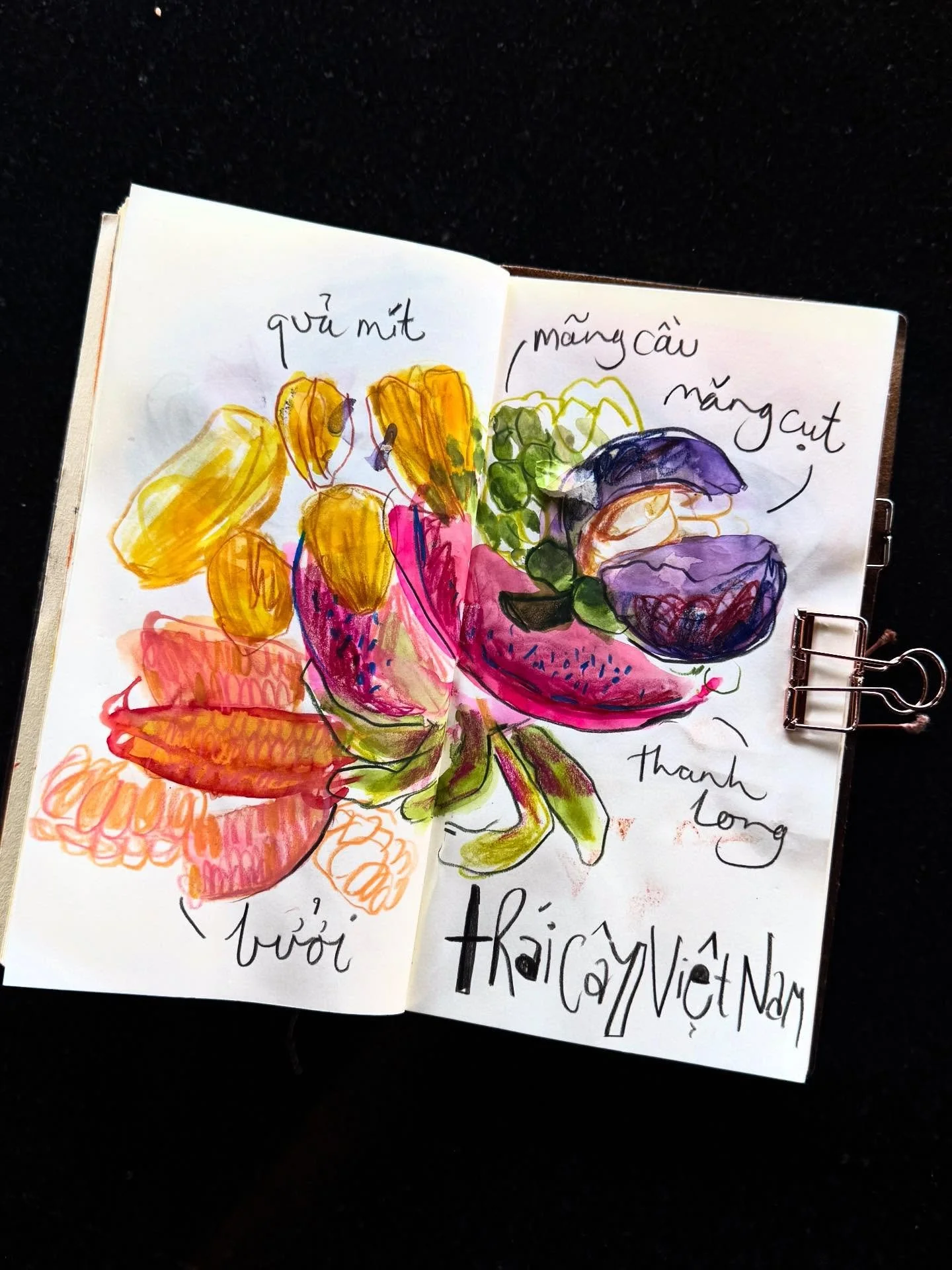 Vietnam Fruits
#artfoodculture #vietnamfood #vietnamfruit #foodillustration