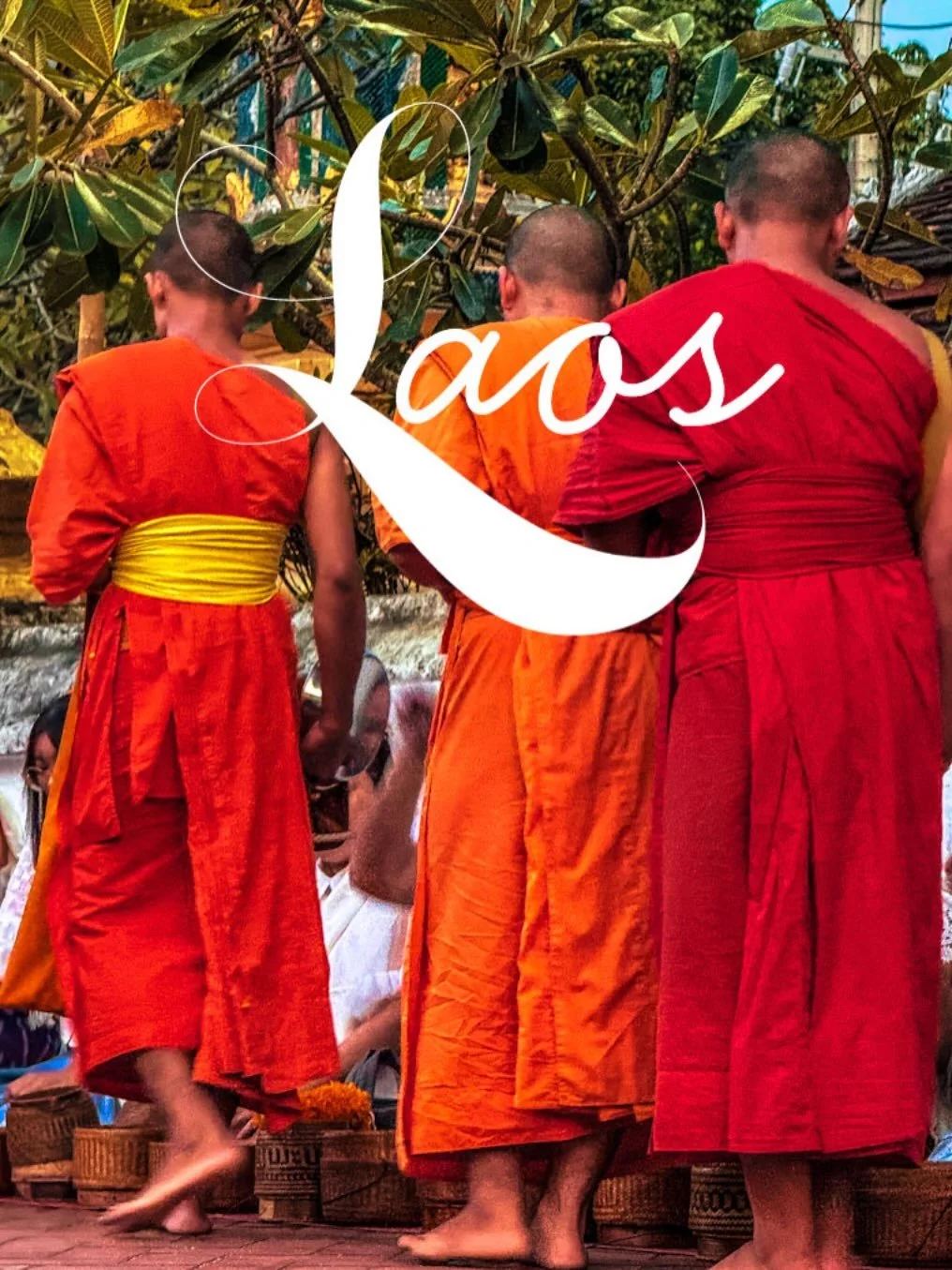 Laos November 2026 has just one spot left. 

North Laos, a quiet silk and spice dream

Woven traditions, fragrant markets, and remote mountain villages where culture lives close to the land

Travelled gently, tasted deeply 

https://artfoodculture.co