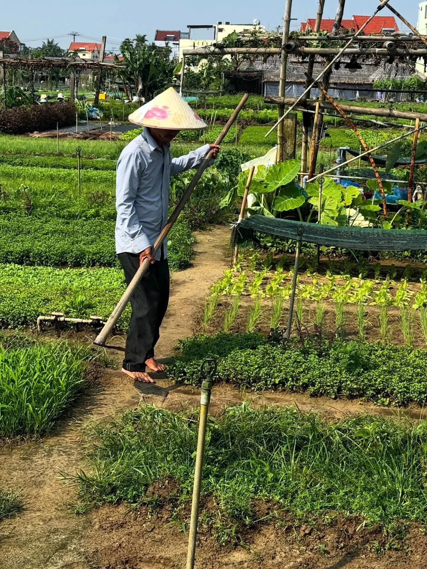 I focus on helping you understand the culture more deeply. That is where the value of my carefully designed &amp; considered Experiences sit. 

New trips just announced. artfoodculture.com