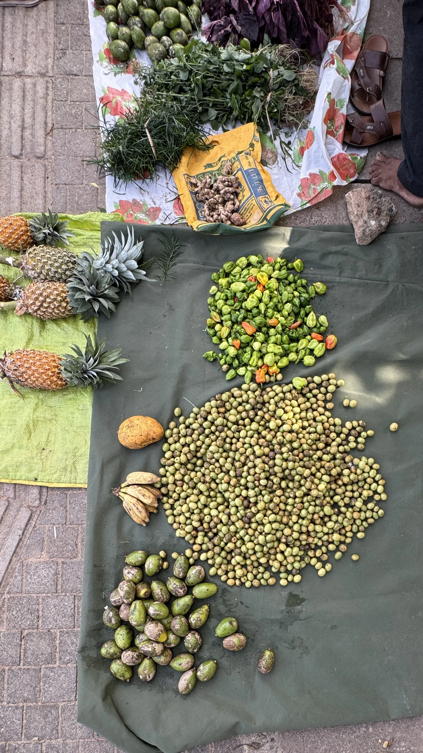 Sri Lanka Markets9129.jpg