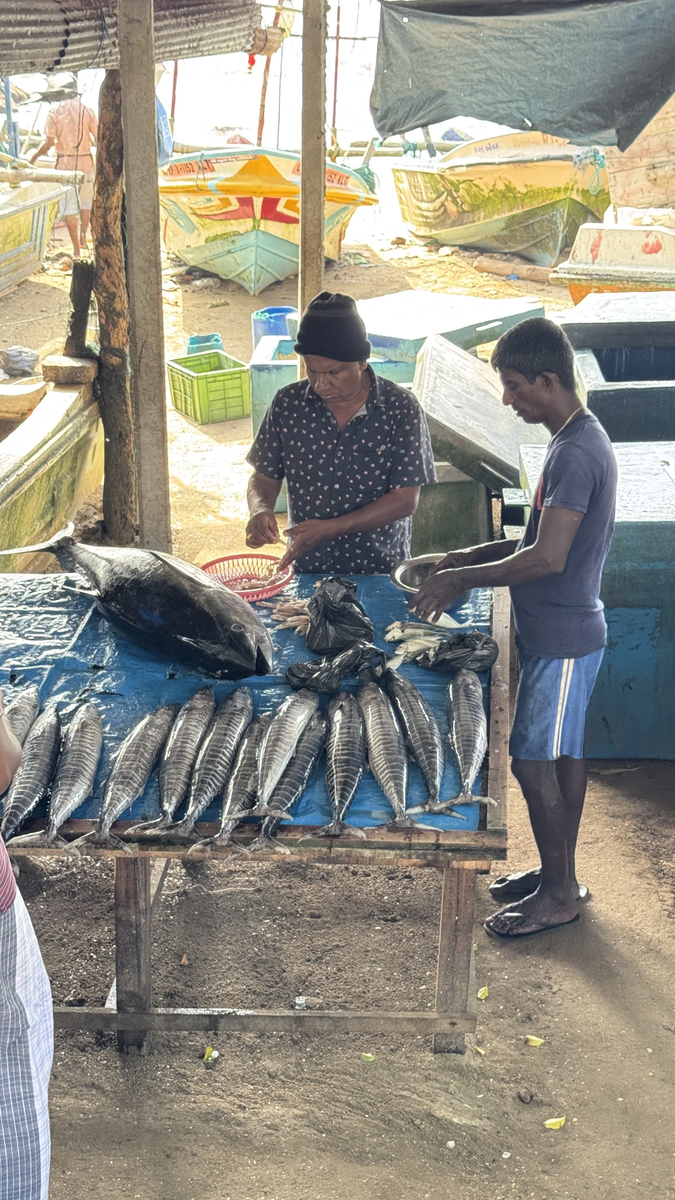 Sri Lanka Markets9074.jpg